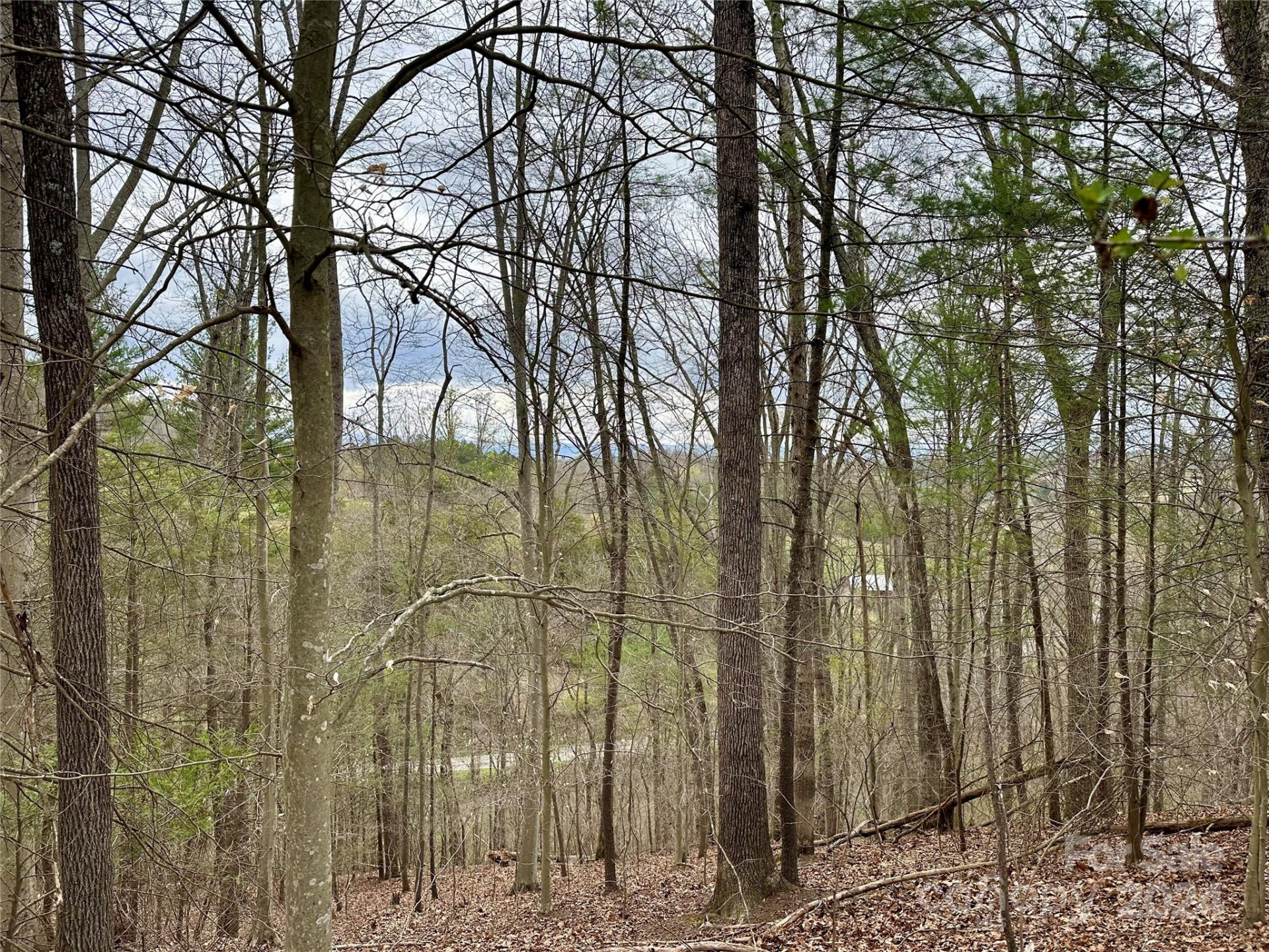 000 Fletcher Martin Road #2 & 3 - Photo 5