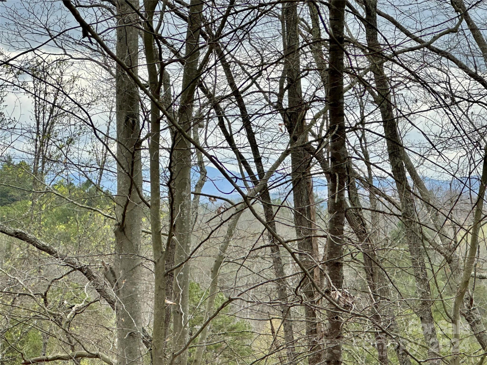 000 Fletcher Martin Road #2 & 3 - Photo 6