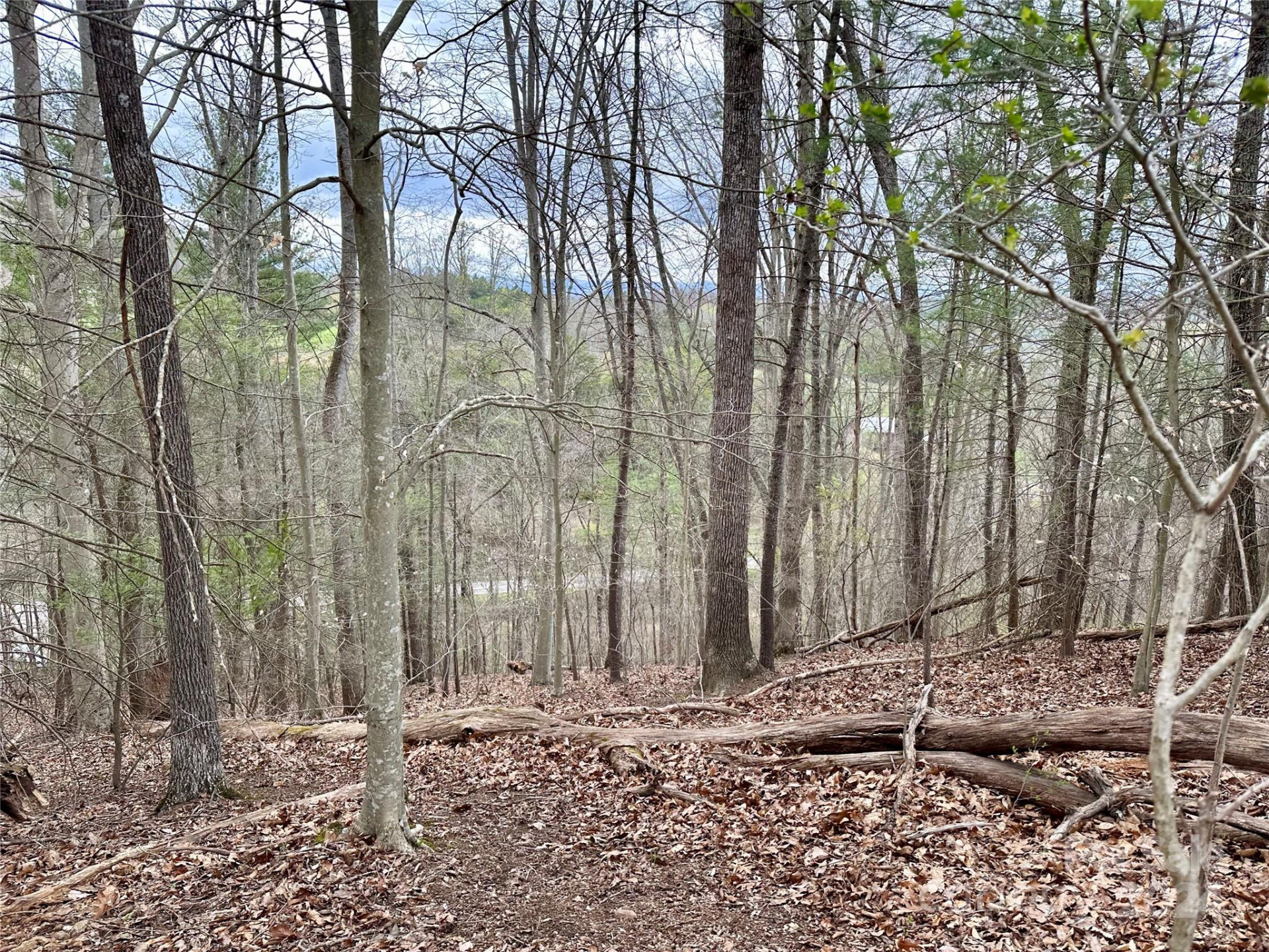 000 Fletcher Martin Road #2 & 3 - Photo 7