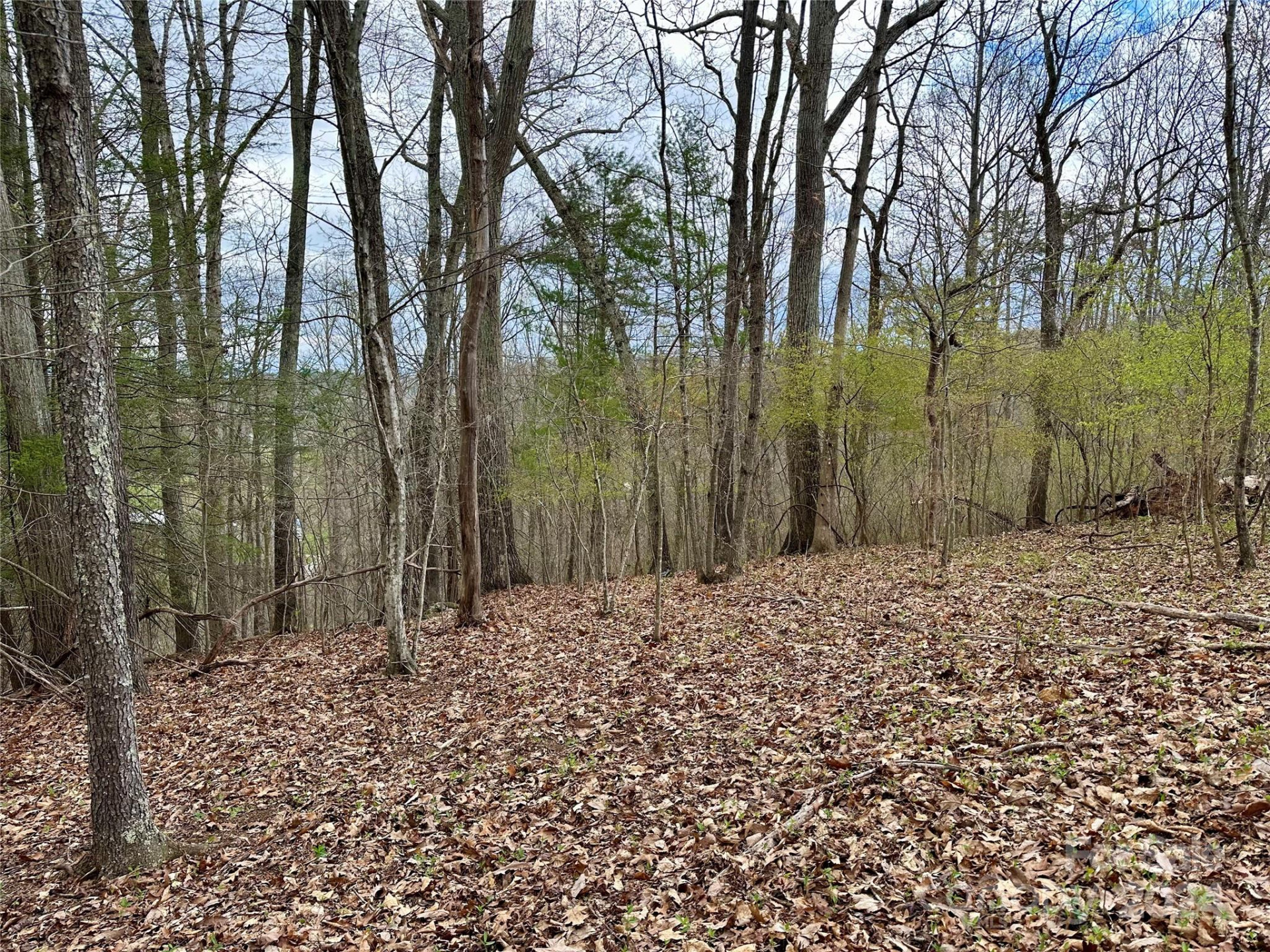 000 Fletcher Martin Road #2 & 3 - Photo 8