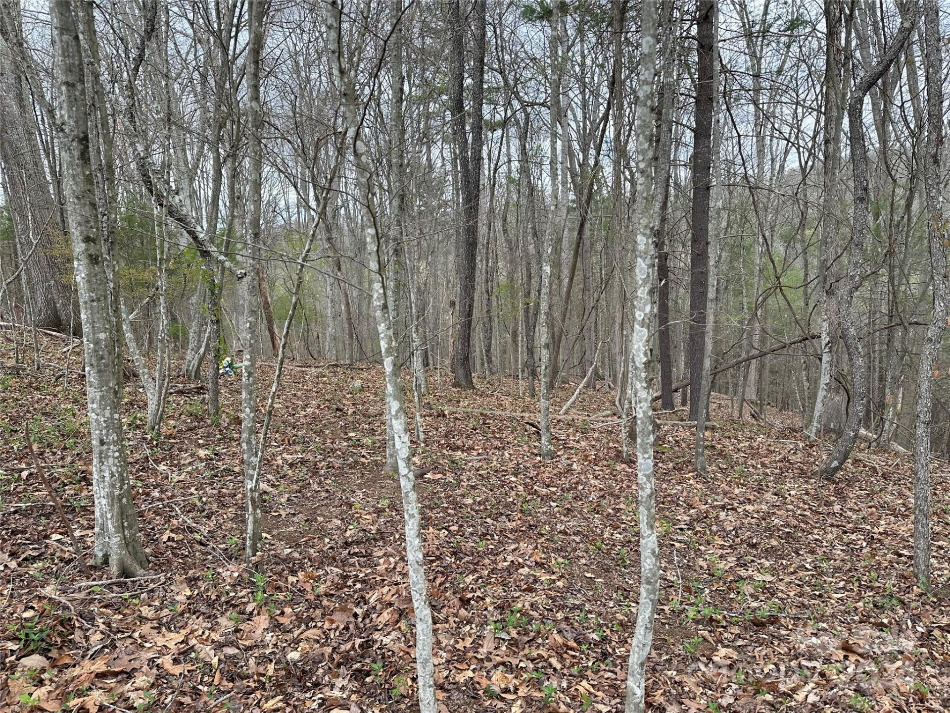 000 Fletcher Martin Road #2 & 3 - Photo 9