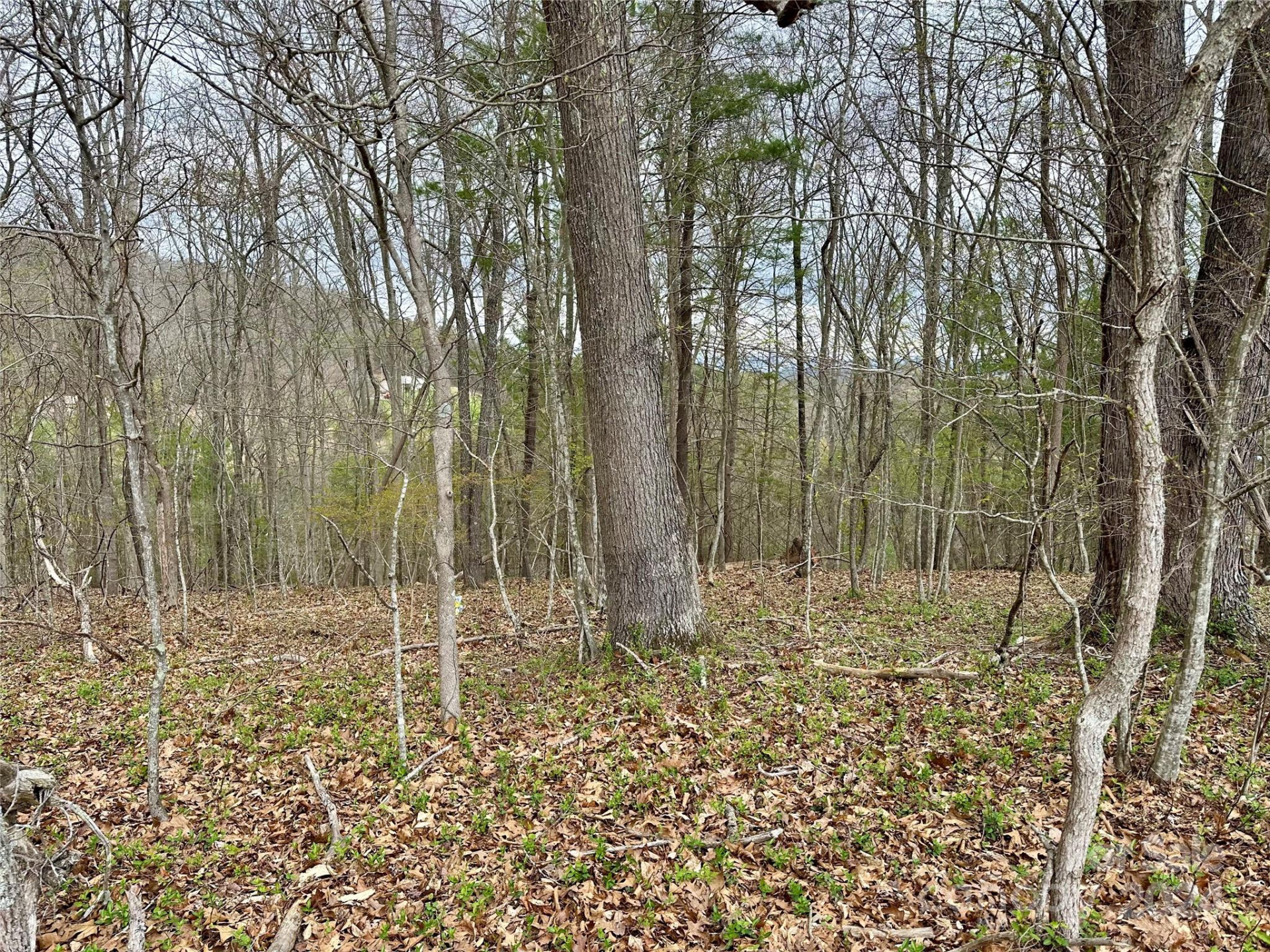 000 Fletcher Martin Road #2 & 3 - Photo 10