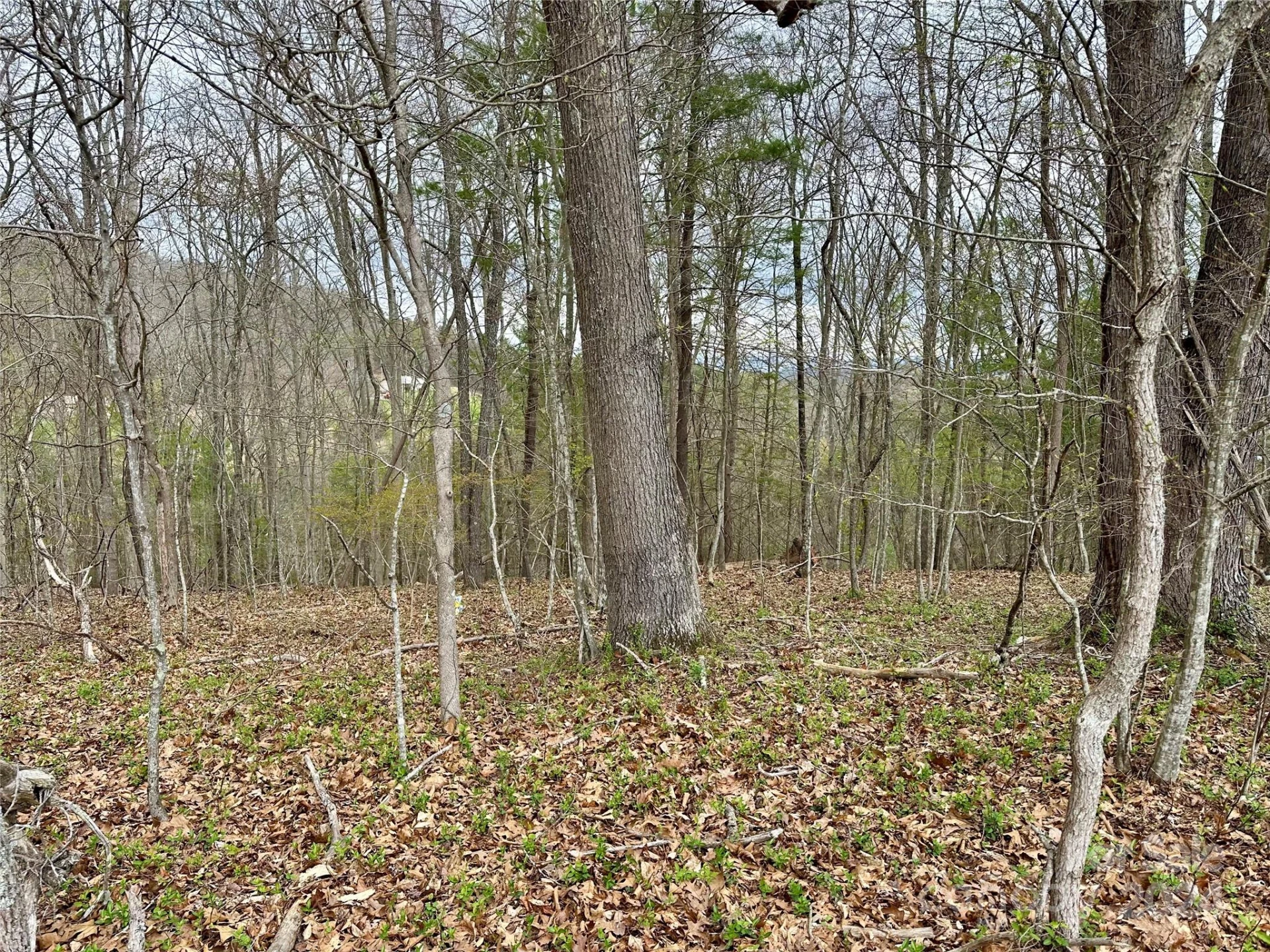 000 Fletcher Martin Road #2 & 3 - Photo 10