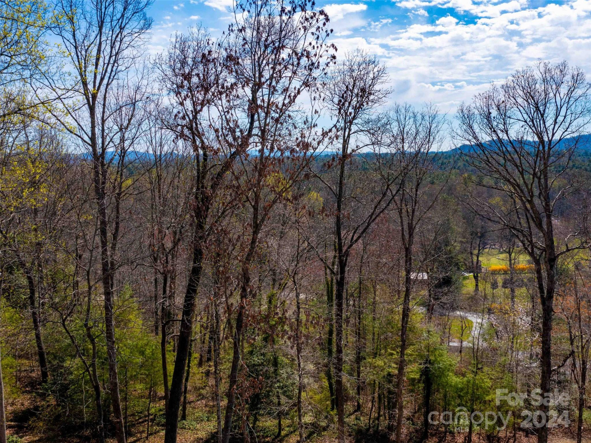 Lot 29 Connemara Overlook Drive - Photo 11
