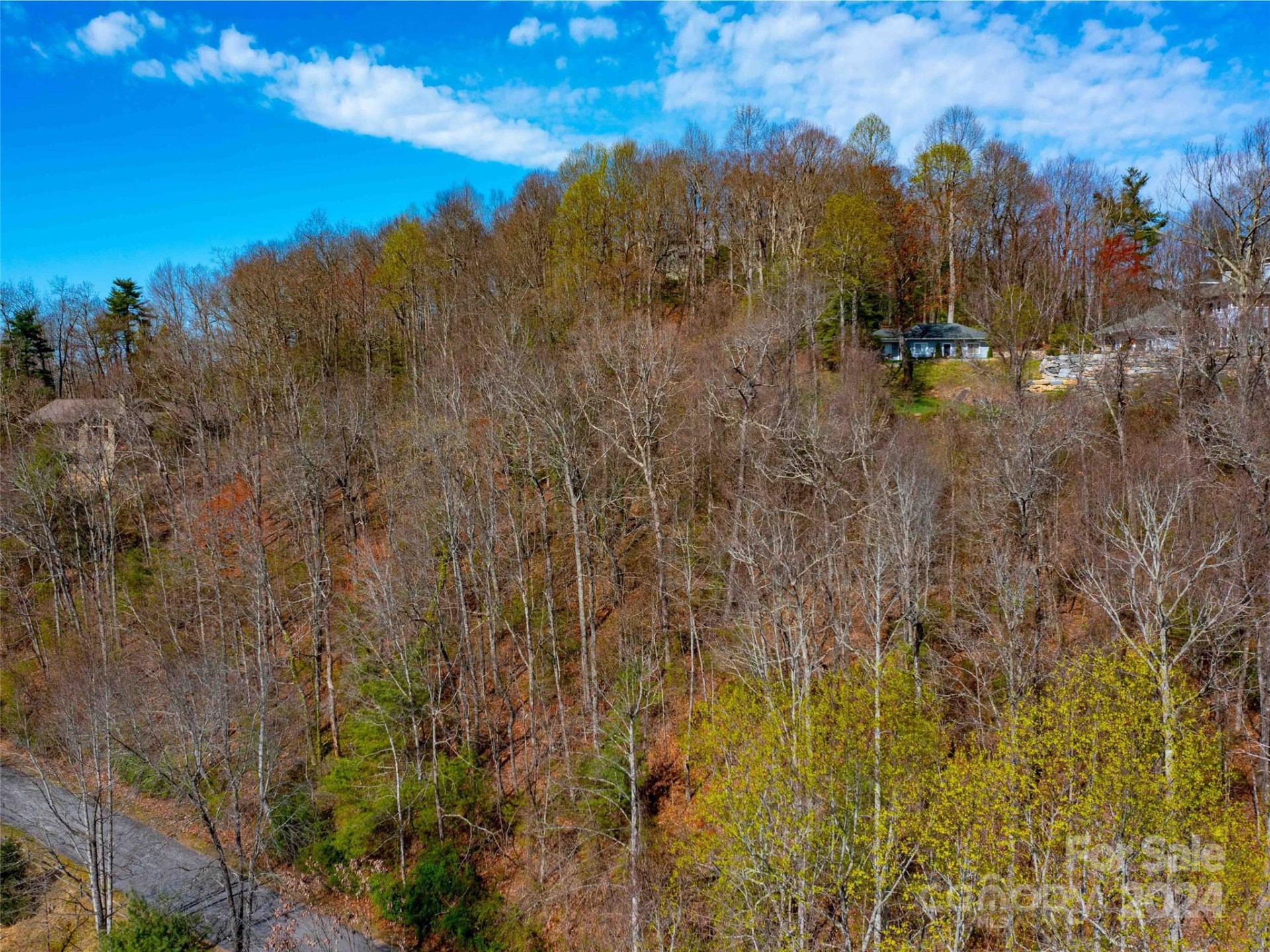 Lot 29 Connemara Overlook Drive - Photo 13