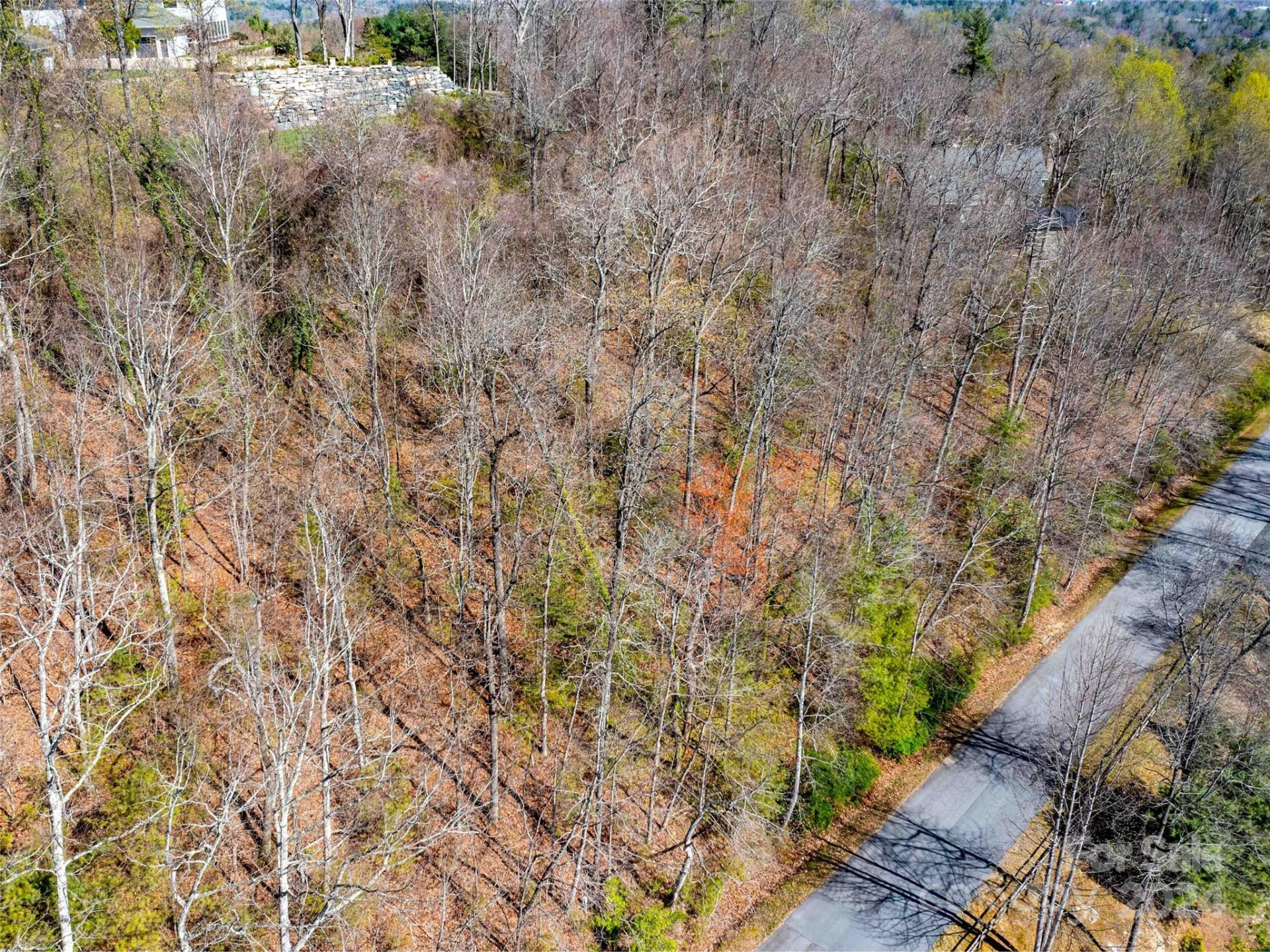 Lot 29 Connemara Overlook Drive - Photo 14