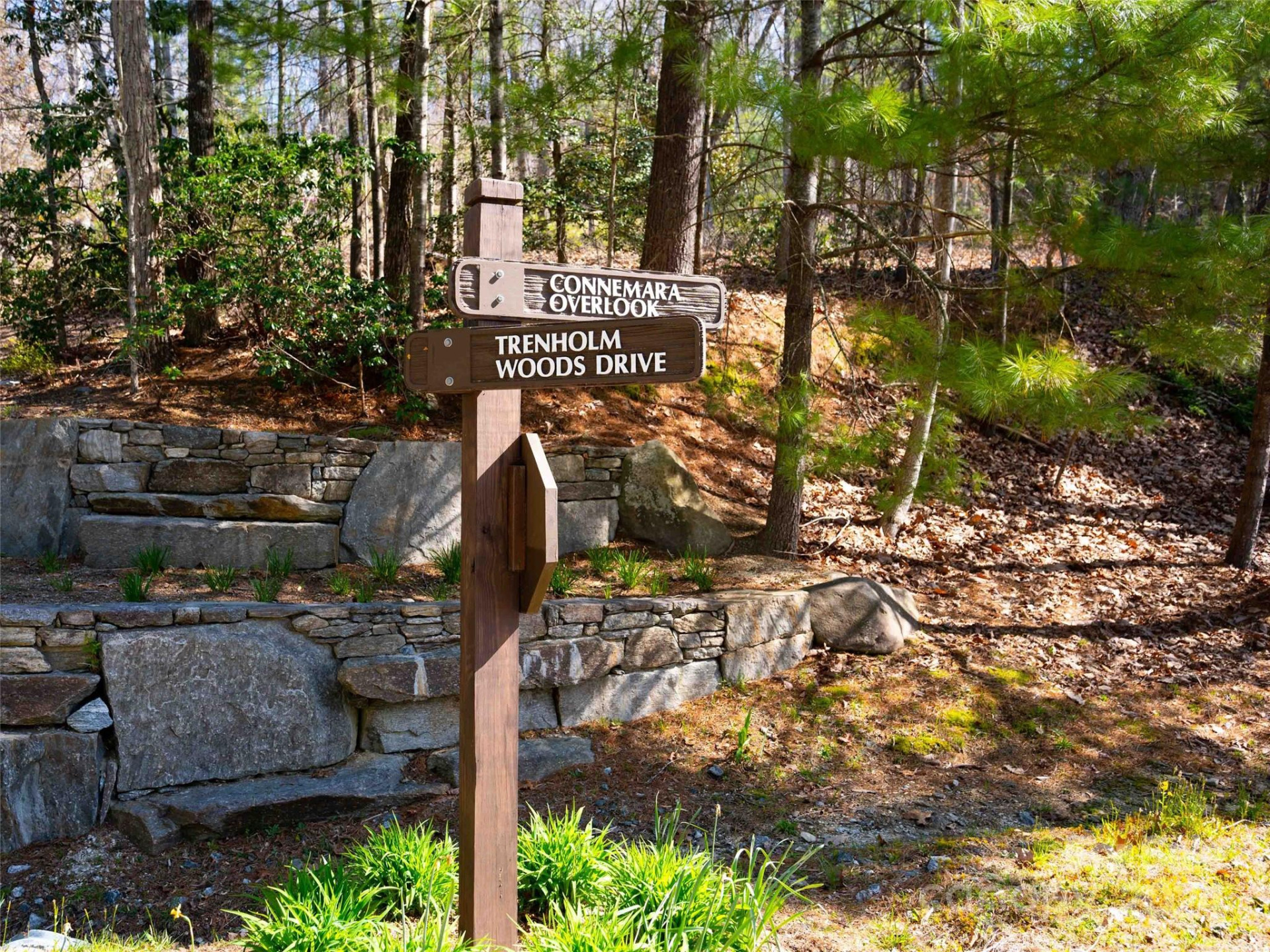 Lot 29 Connemara Overlook Drive - Photo 15