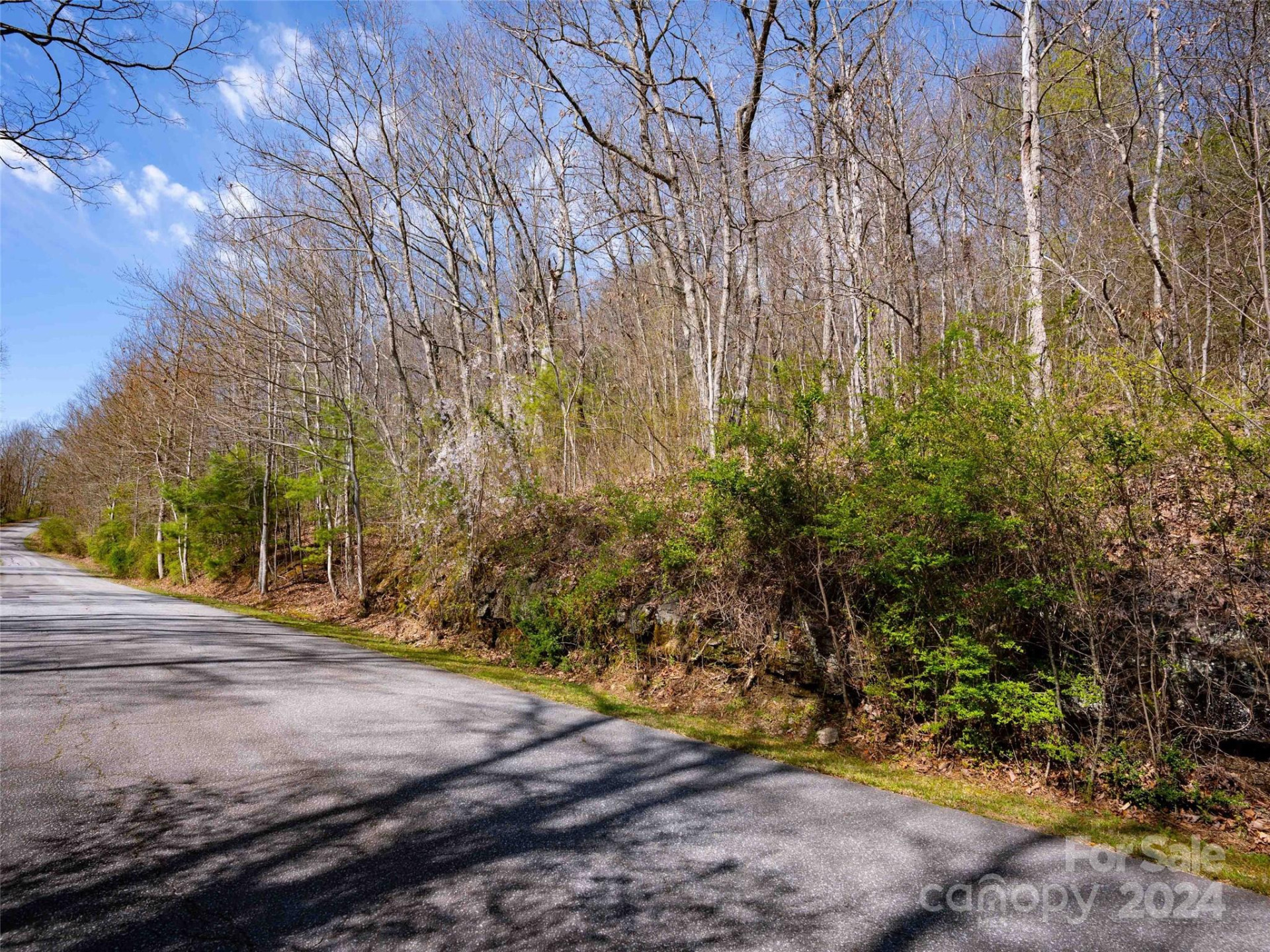 Lot 29 Connemara Overlook Drive - Photo 16