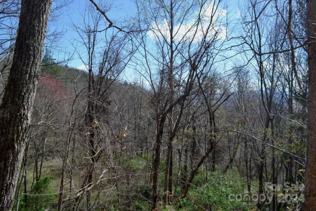 Lot 8 Town Mountain Road