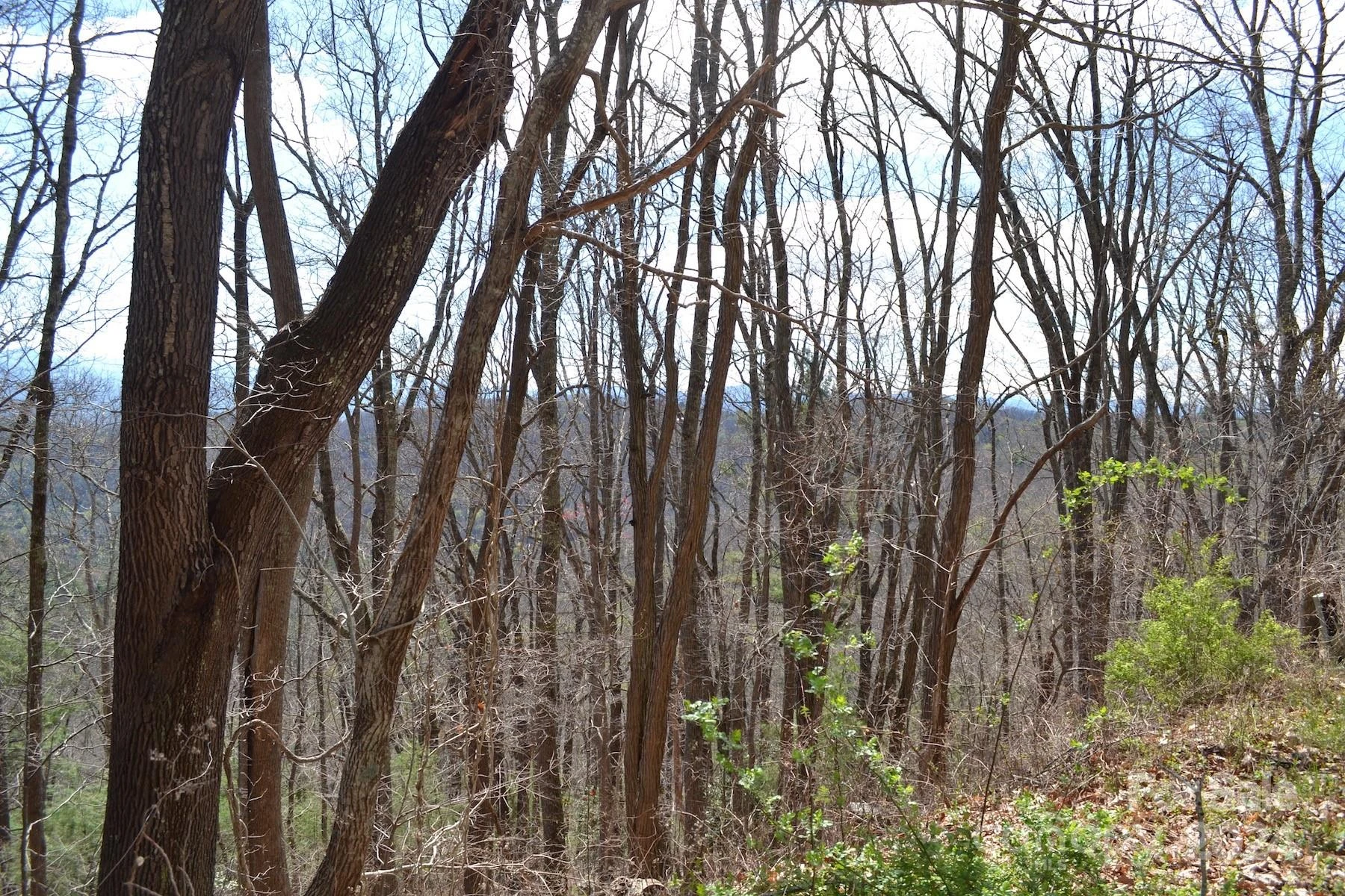 Lot 8 Town Mountain Road - Photo 2