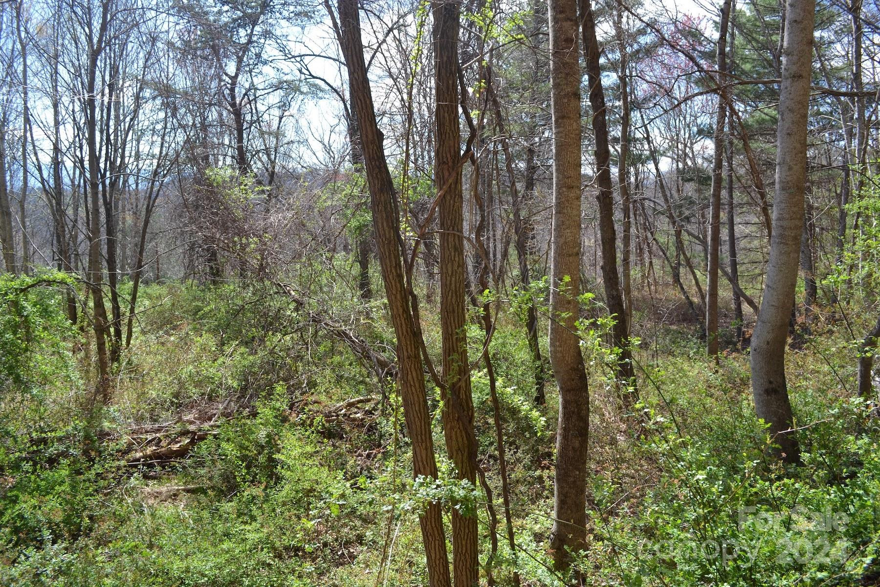 Lot 8 Town Mountain Road - Photo 5