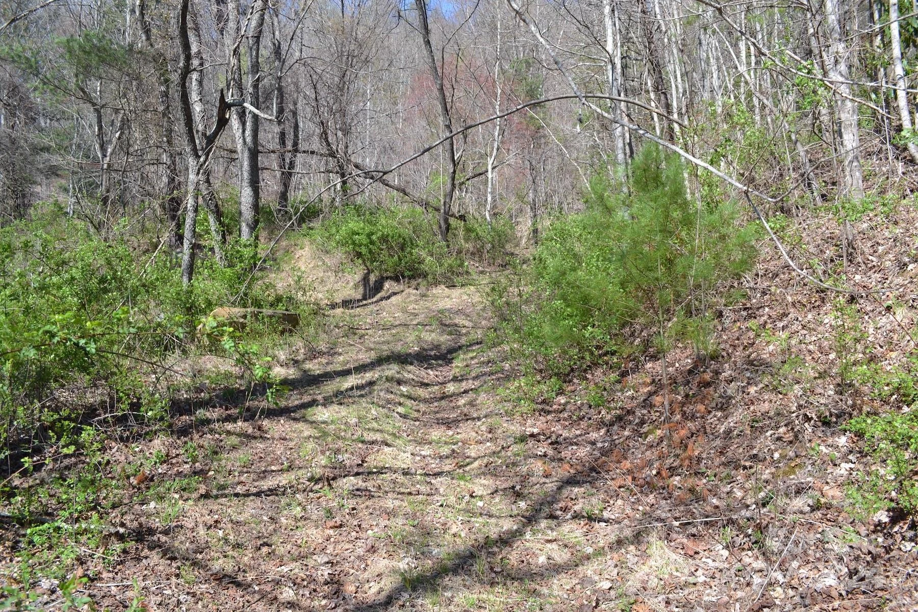 Lot 8 Town Mountain Road - Photo 8