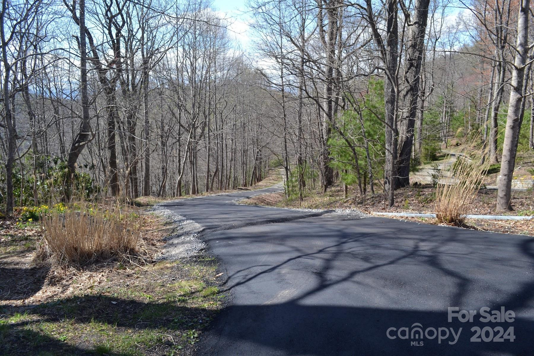 Lot 8 Town Mountain Road - Photo 9