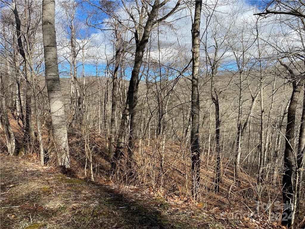 000 Birdymay Drive #137