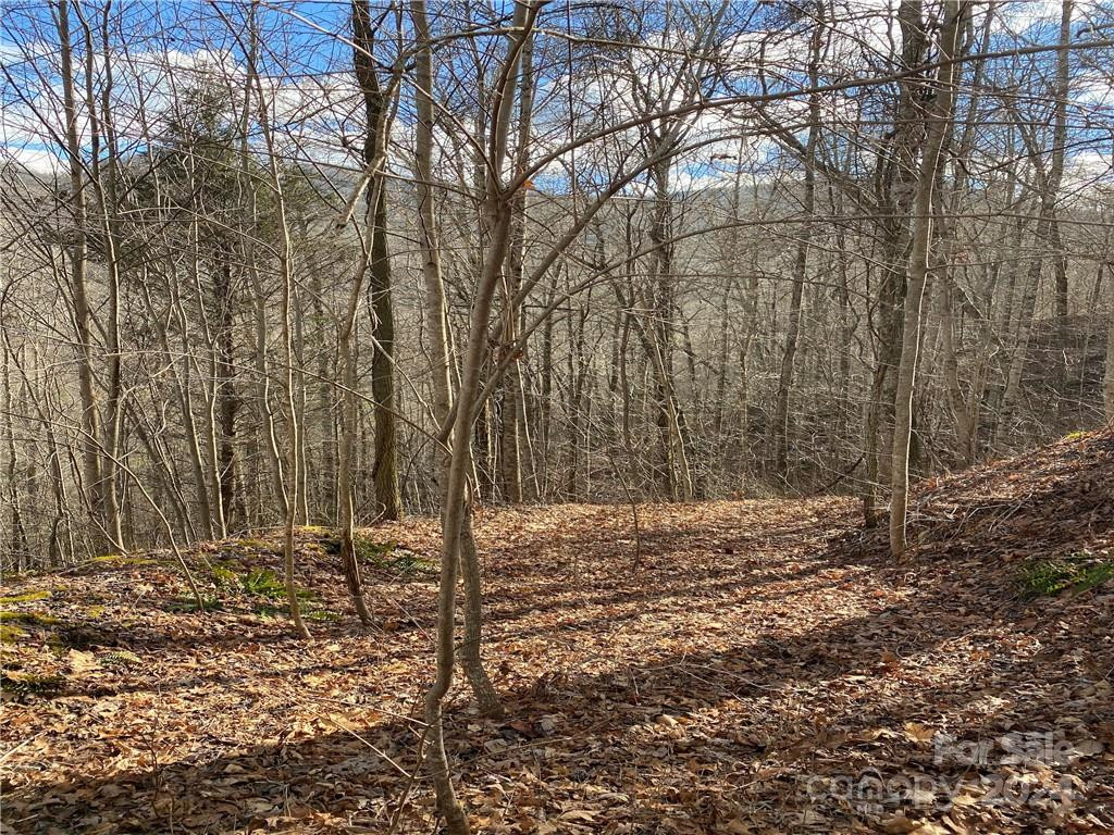 000 Birdymay Drive #137 - Photo 2