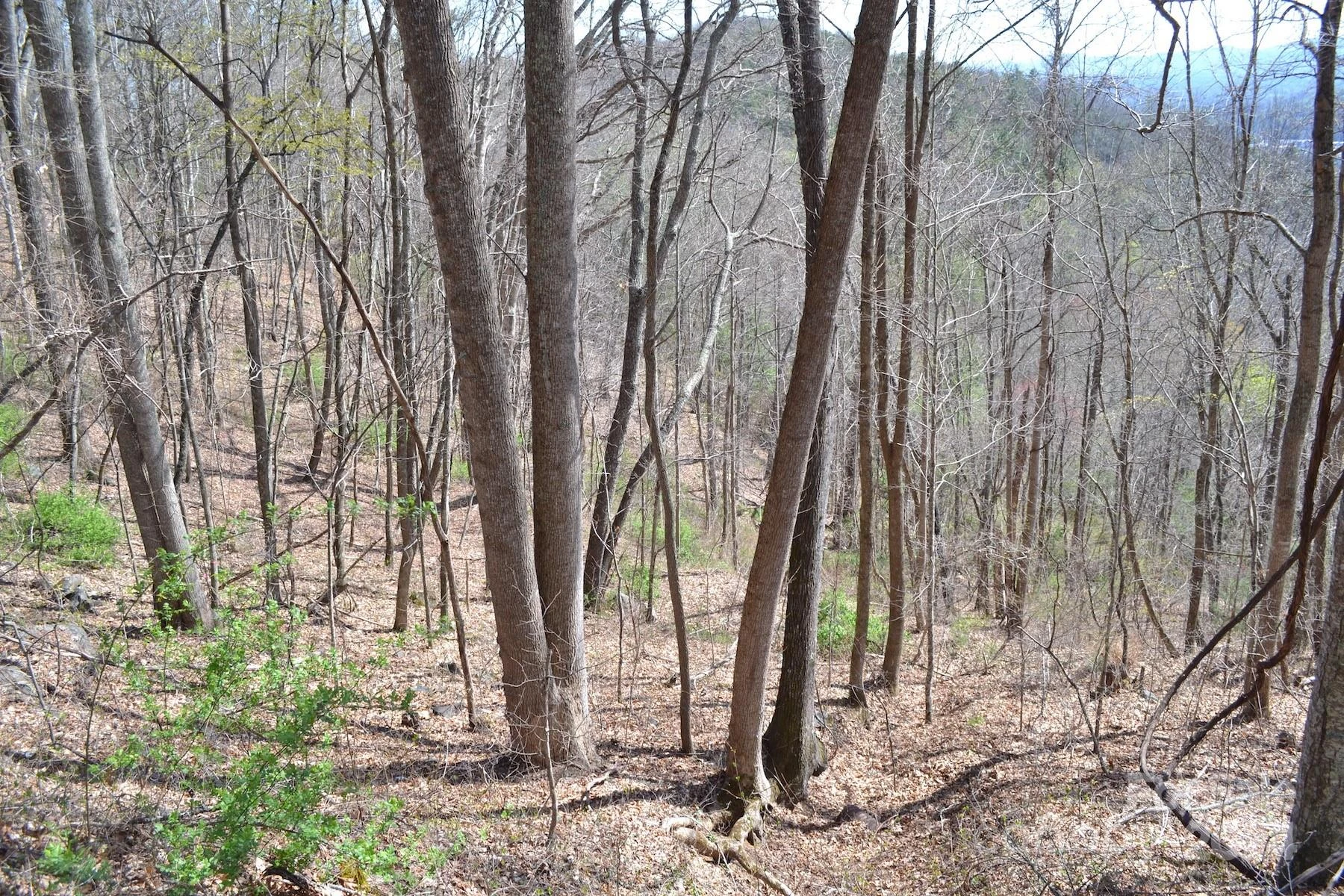 Lot 9 Town Mountain Road - Photo 2