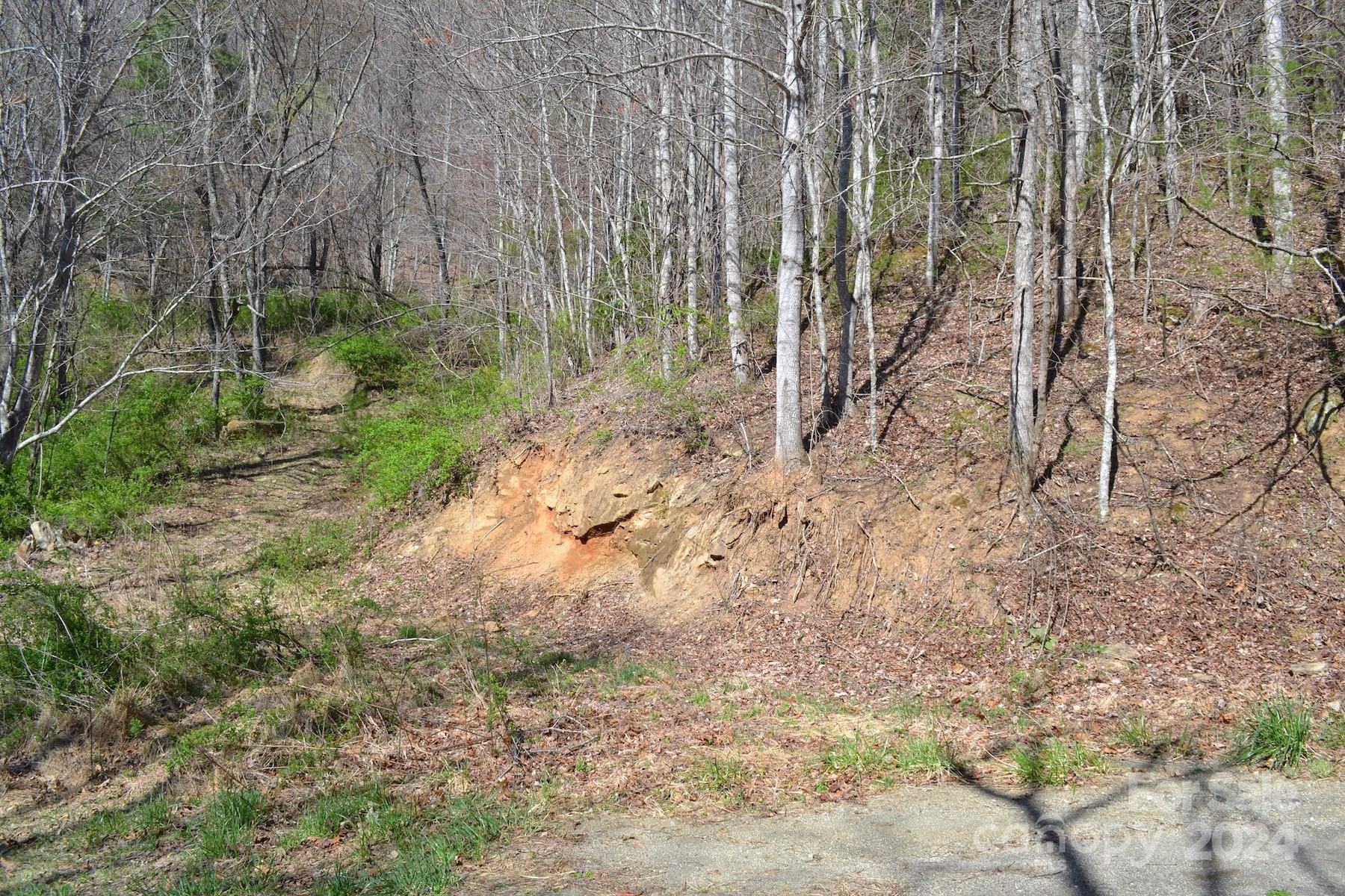 Lot 9 Town Mountain Road - Photo 12