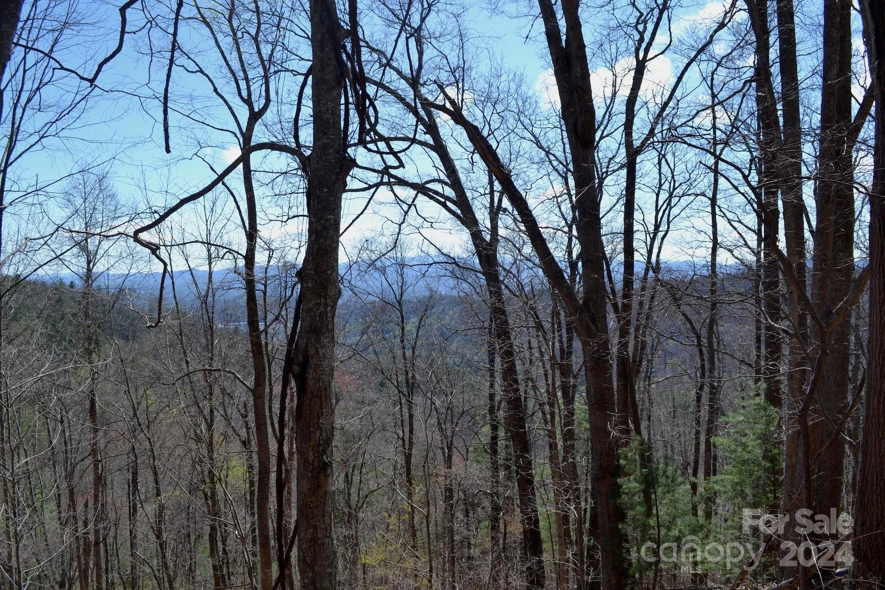 Lot 9 Town Mountain Road - Photo 4