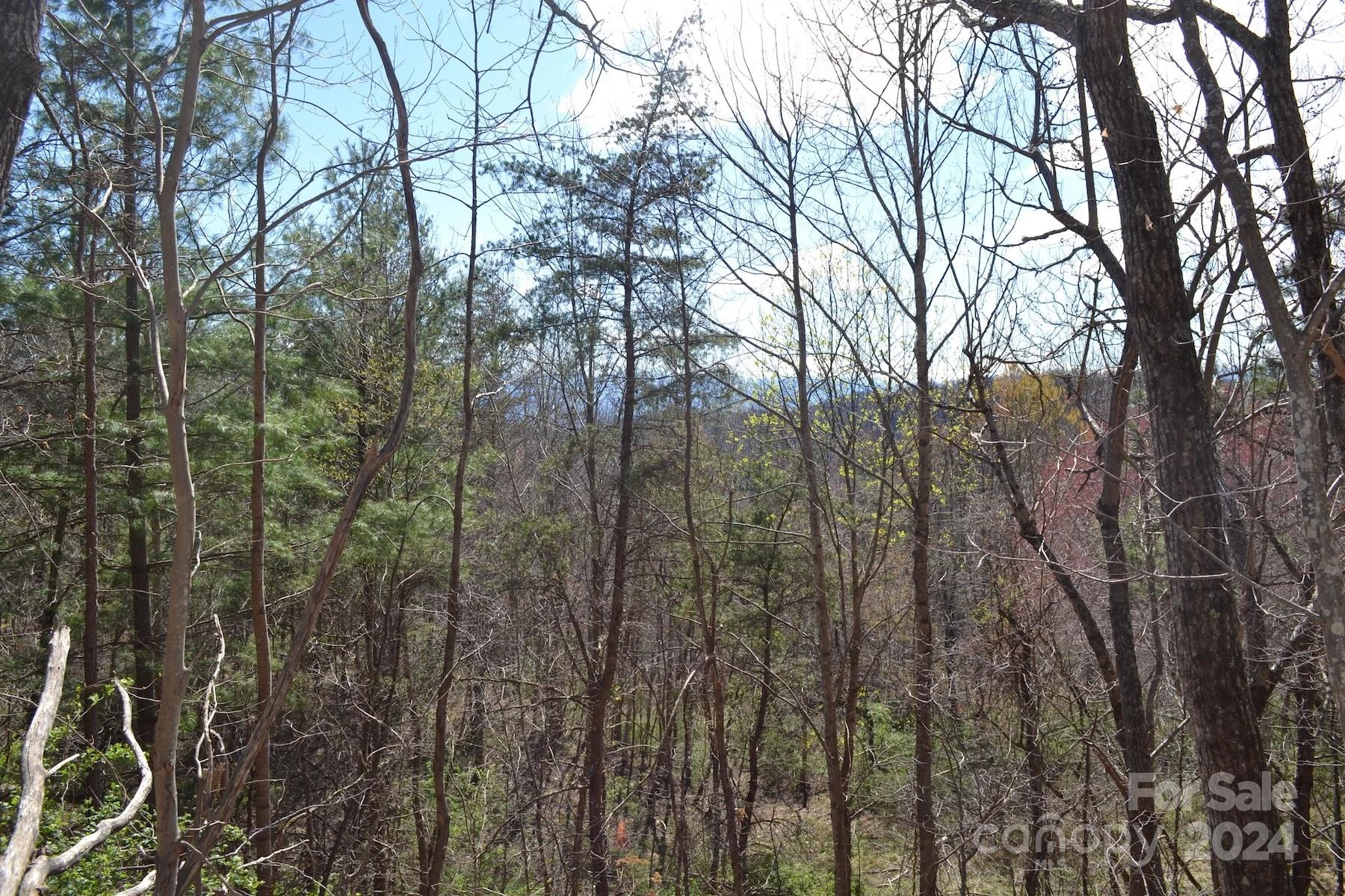 Lot 9 Town Mountain Road - Photo 5