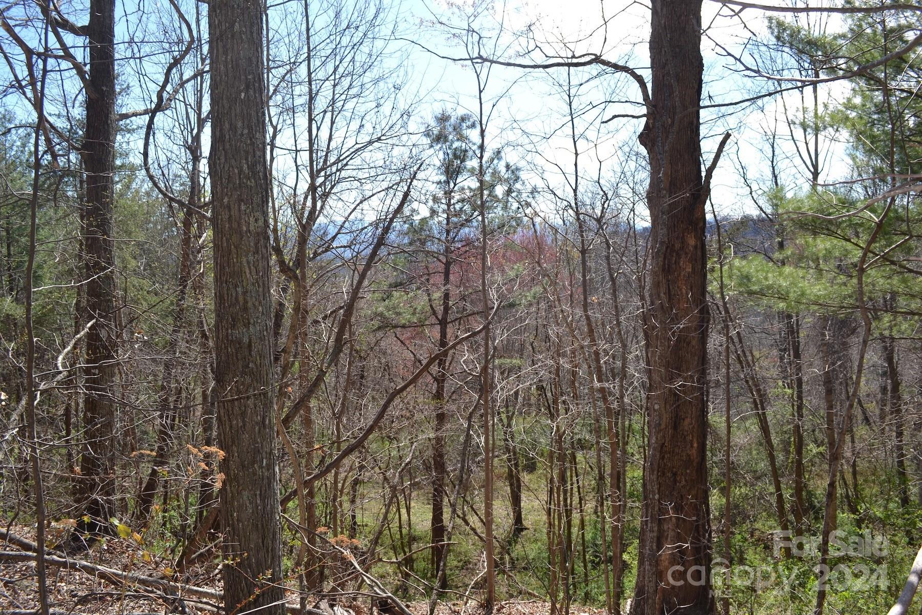 Lot 9 Town Mountain Road - Photo 6