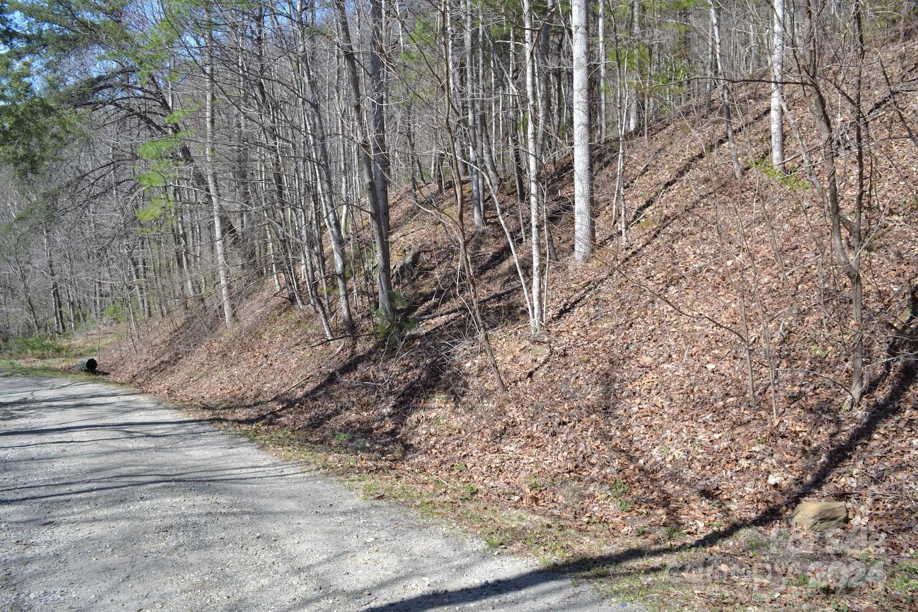 Lot 9 Town Mountain Road - Photo 7