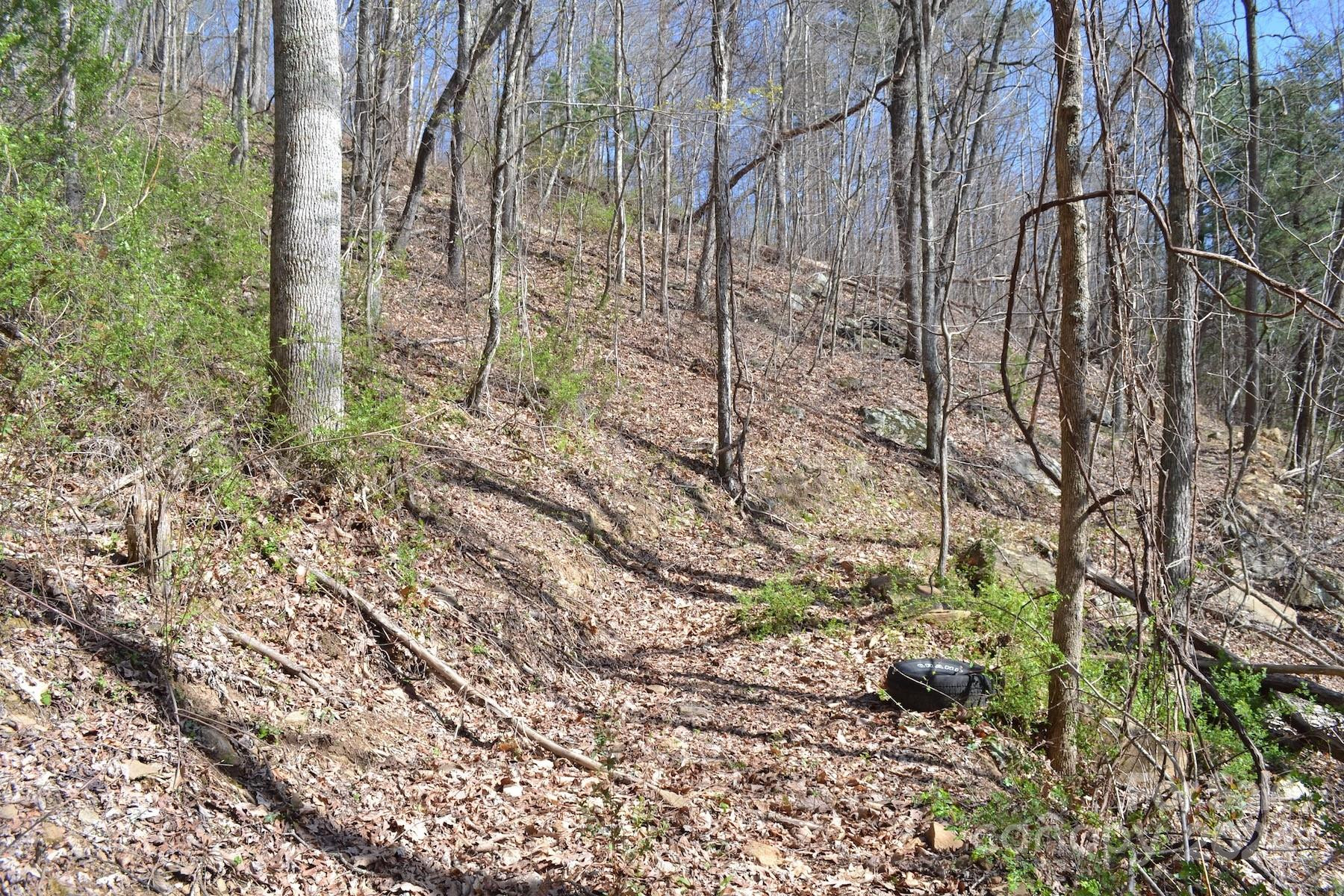 Lot 9 Town Mountain Road - Photo 8