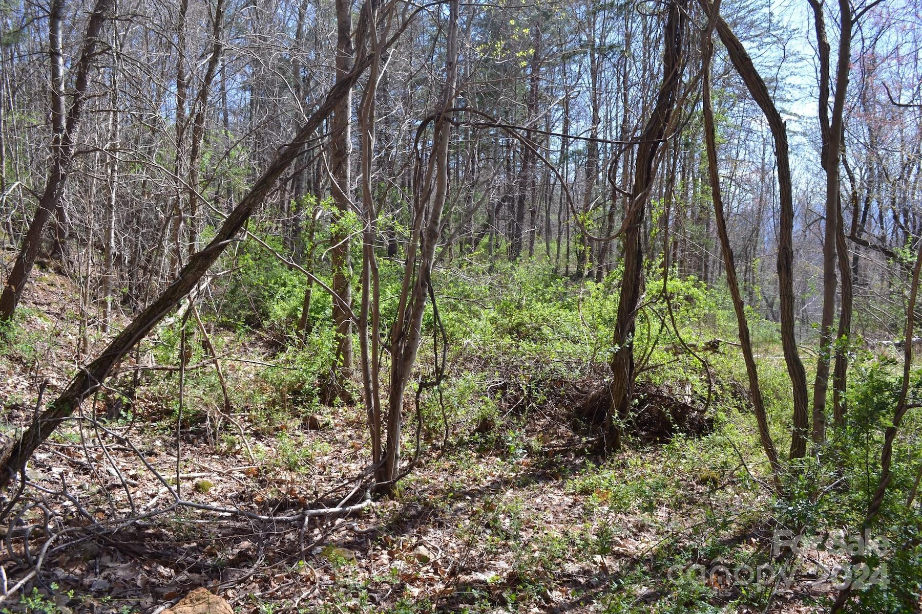 Lot 9 Town Mountain Road - Photo 9