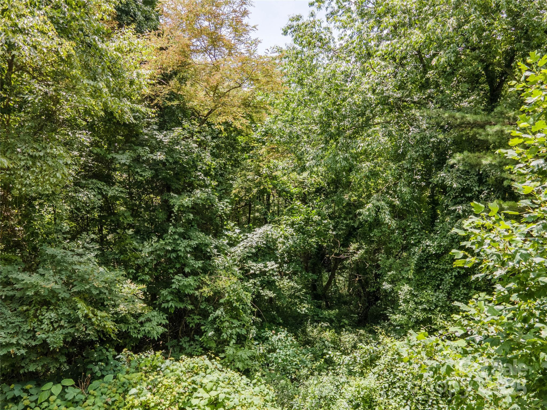 00 Troutman Trail - Photo 2