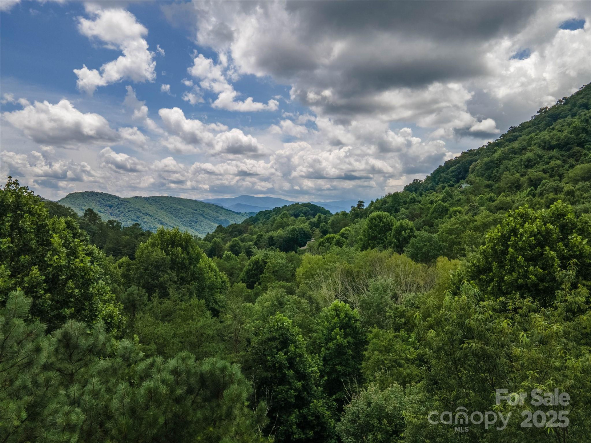 00 Troutman Trail - Photo 12