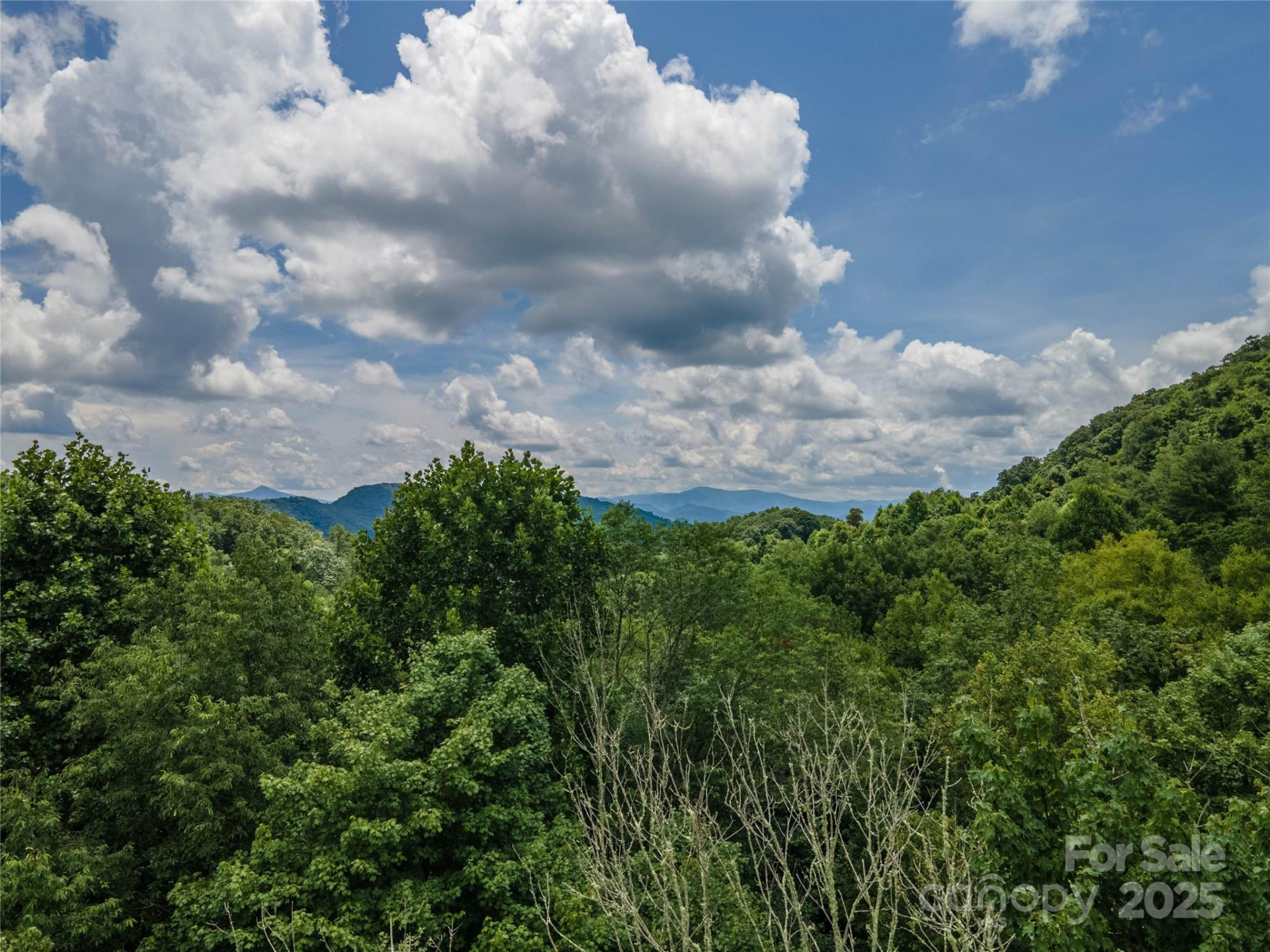 00 Troutman Trail - Photo 13