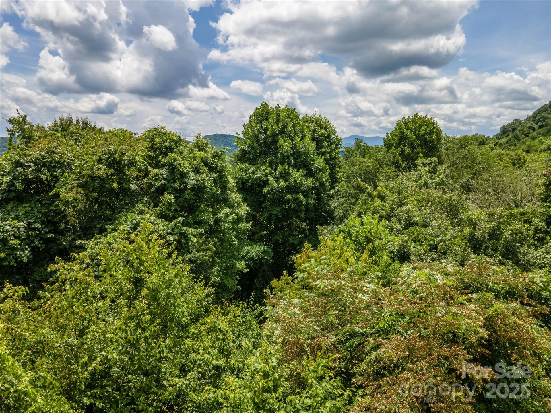 00 Troutman Trail - Photo 14