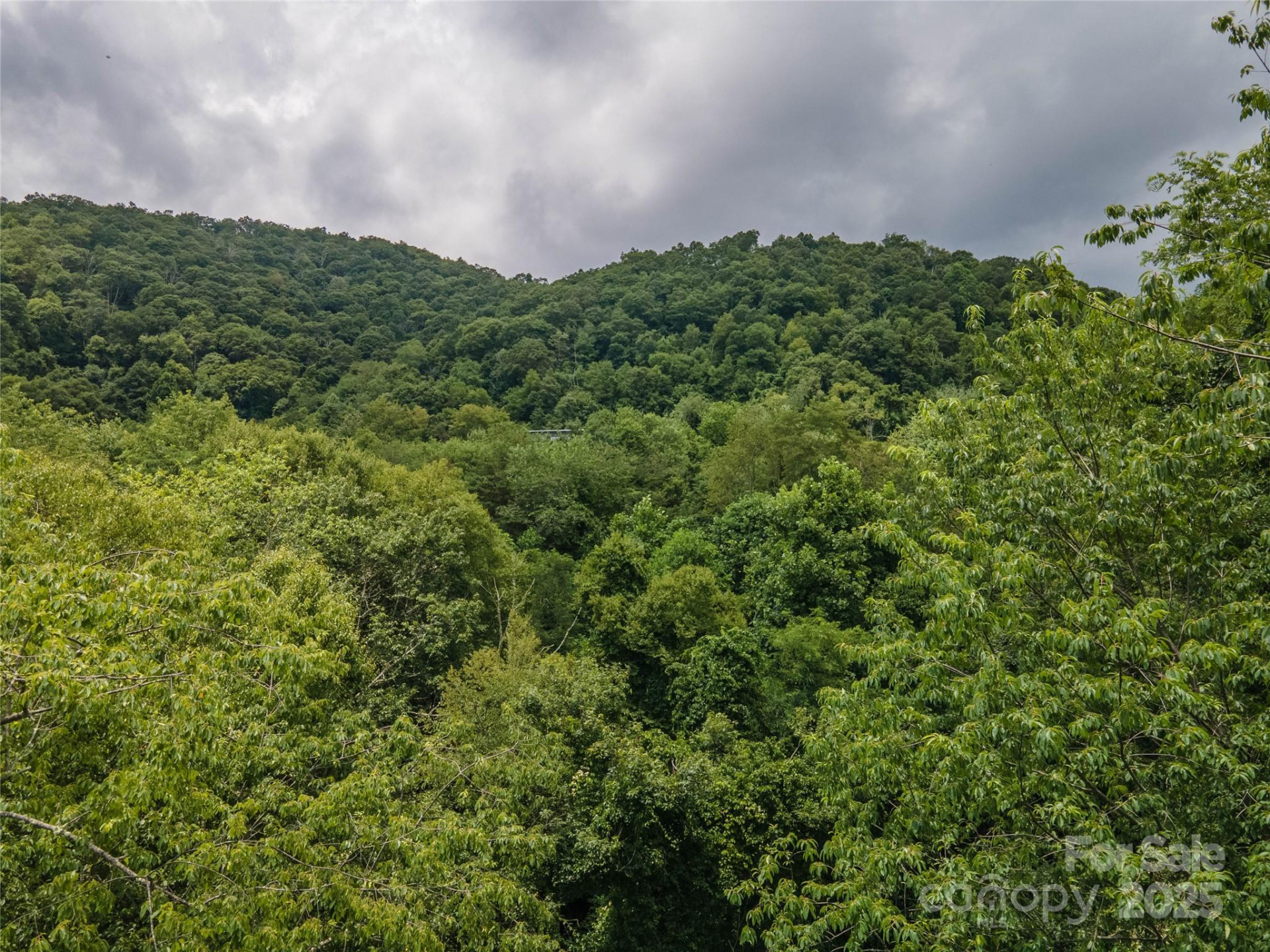 00 Troutman Trail - Photo 15