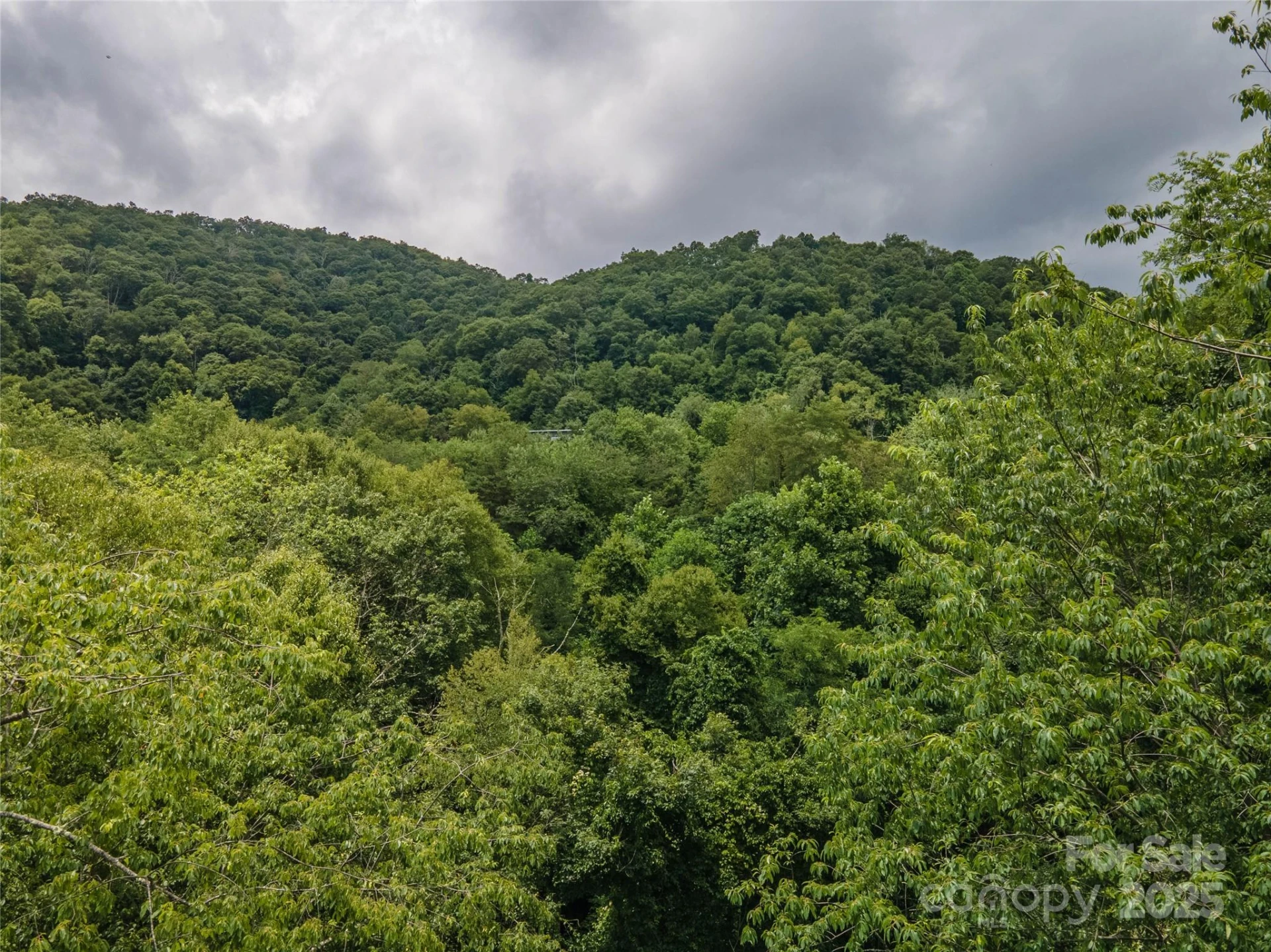 00 Troutman Trail - Photo 15