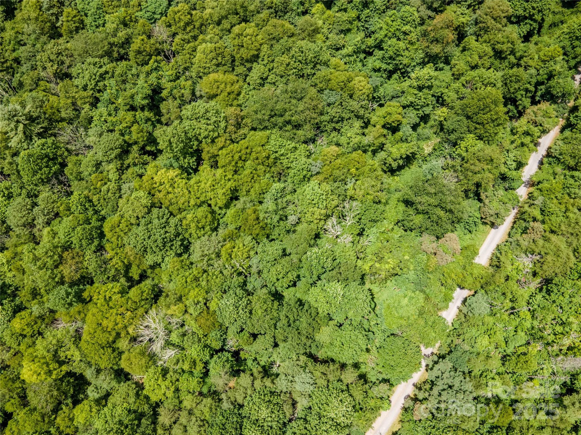 00 Troutman Trail - Photo 17