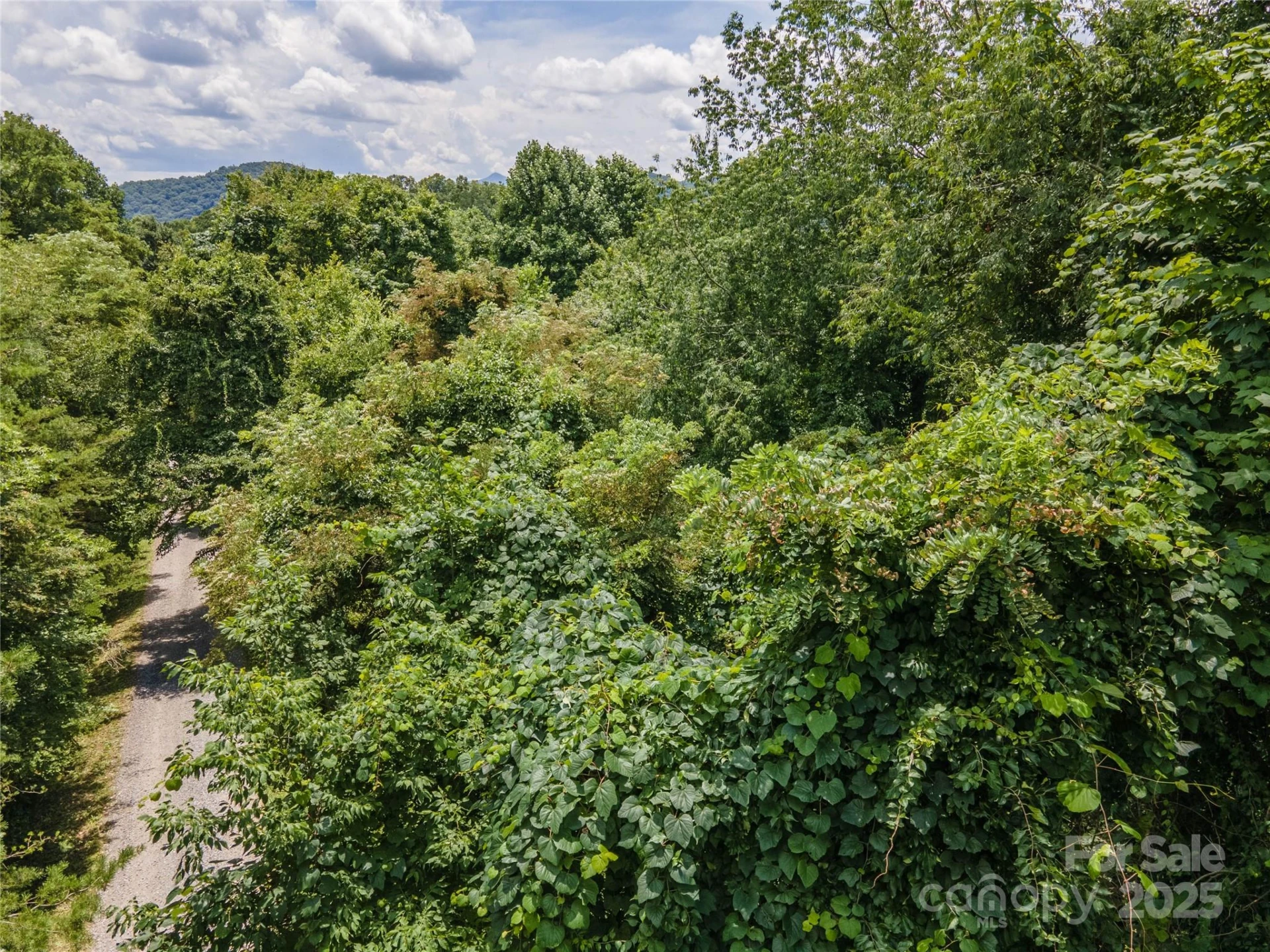 00 Troutman Trail - Photo 20