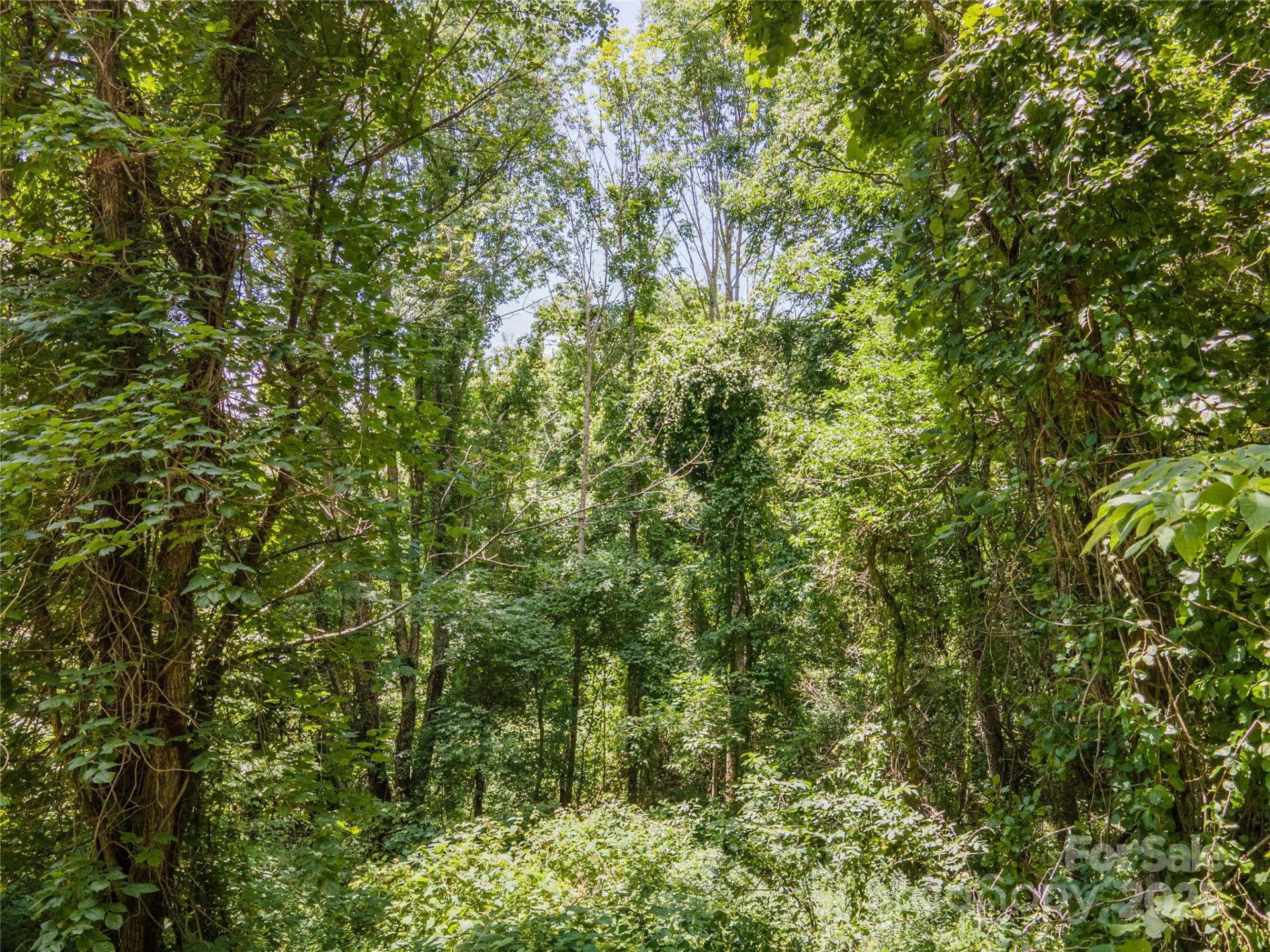 00 Troutman Trail - Photo 3