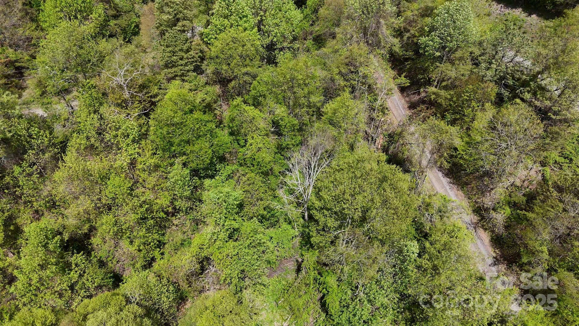 00 Troutman Trail - Photo 8