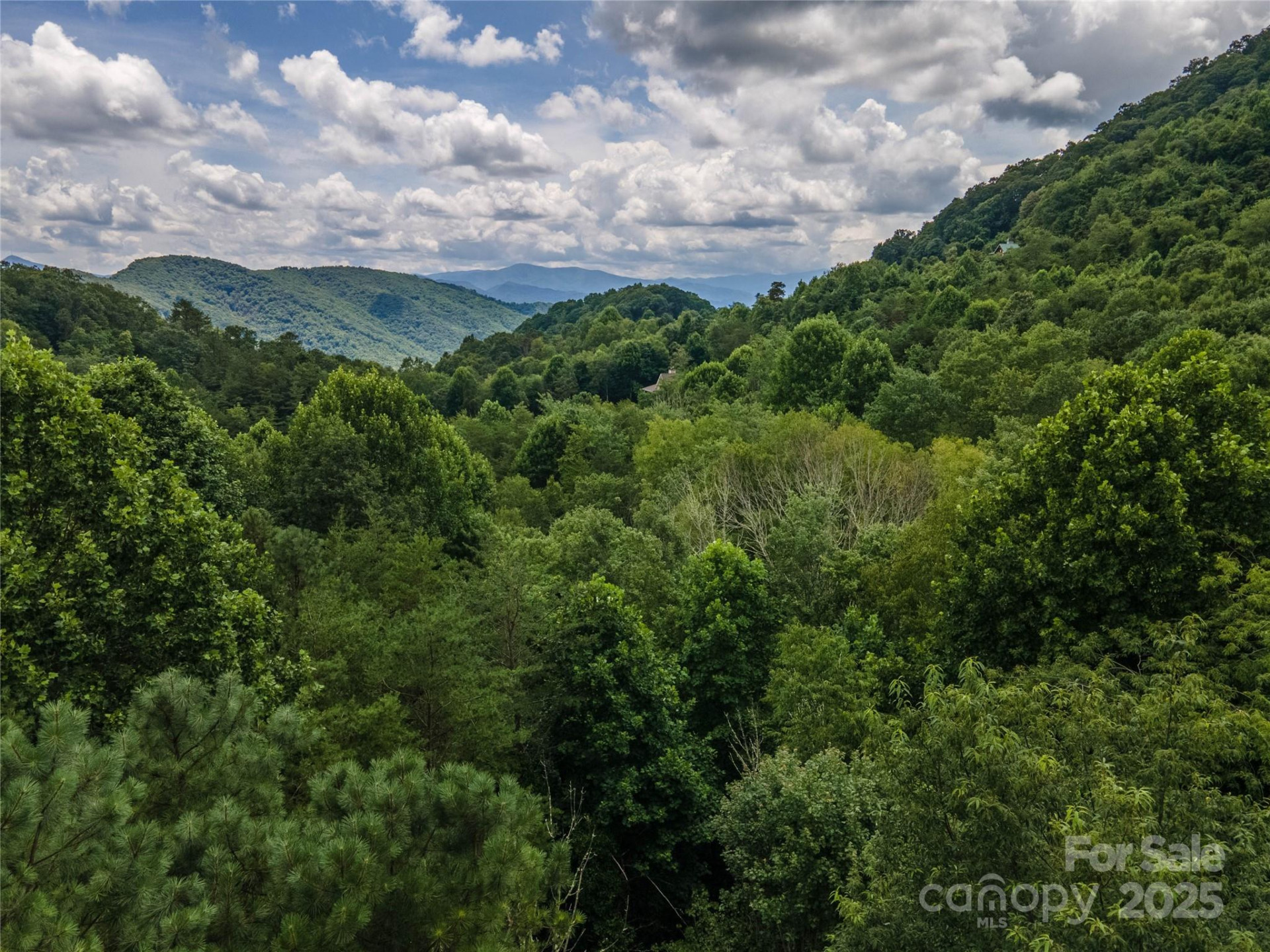 00 Troutman Trail - Photo 9