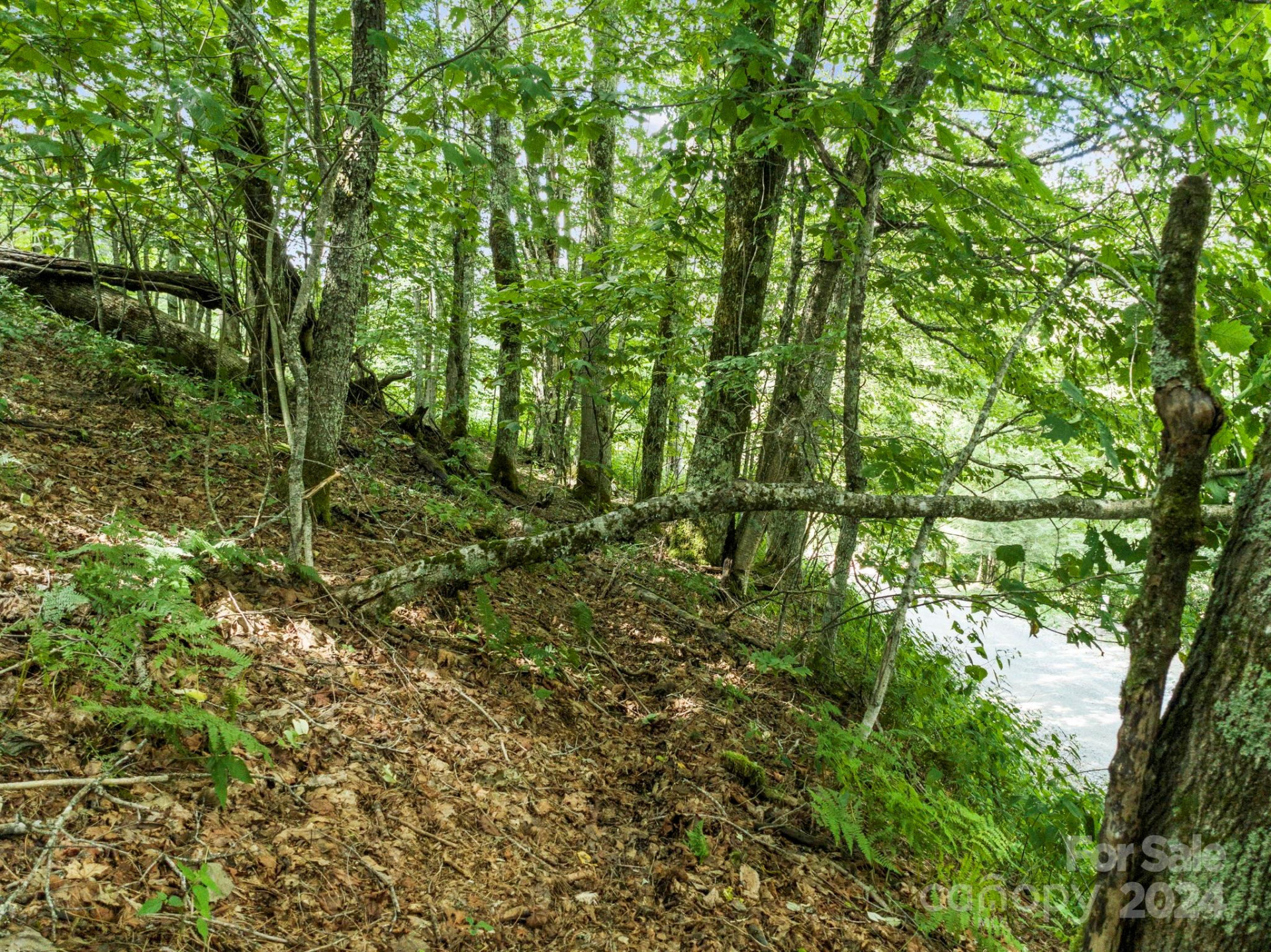 936 Upper Lookout Drive #936 - Photo 31