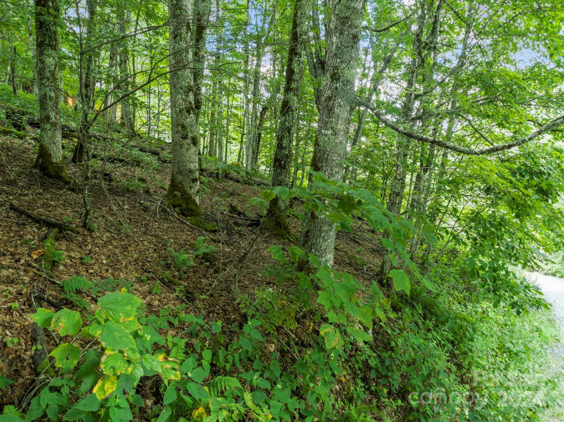 936 Upper Lookout Drive #936 - Photo 32