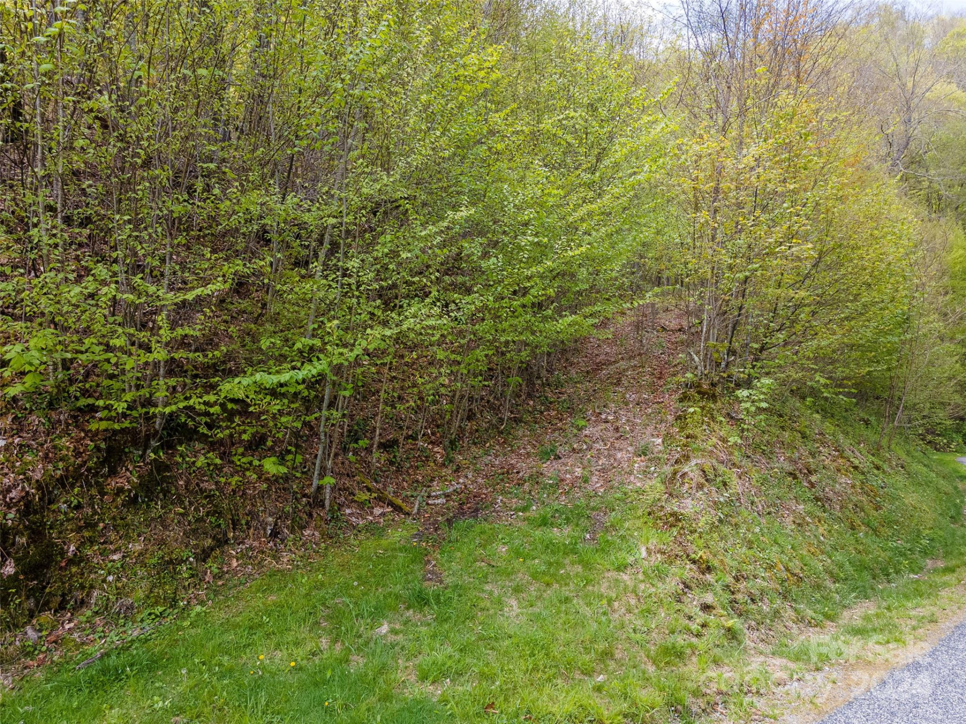 93 Goldenleaf Road #93 & 95 - Photo 16