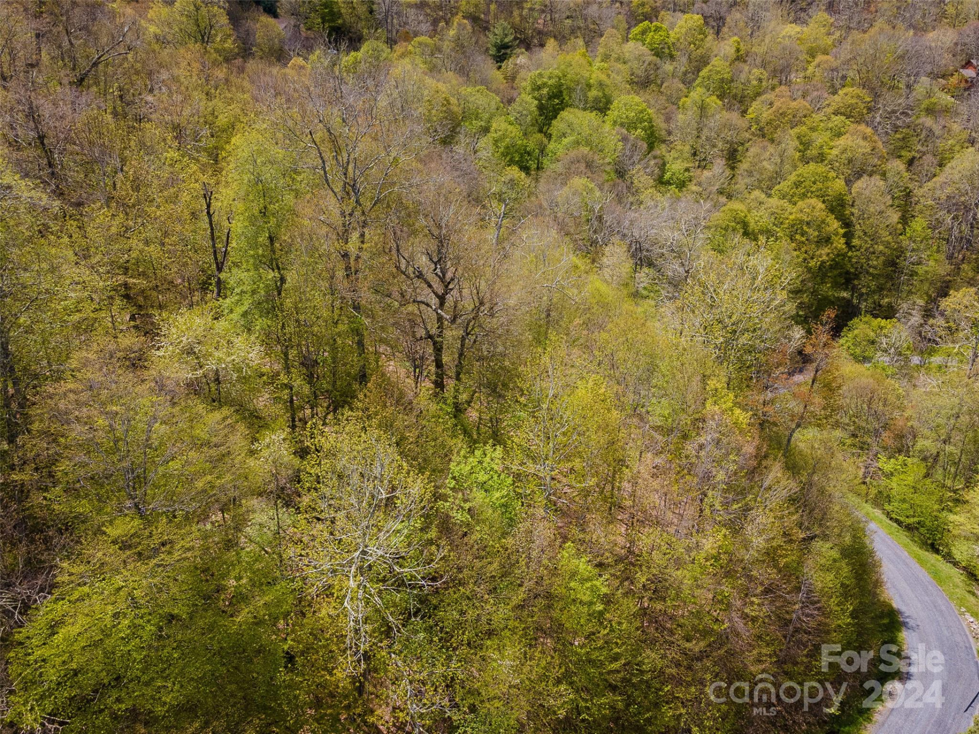 93 Goldenleaf Road #93 & 95 - Photo 20