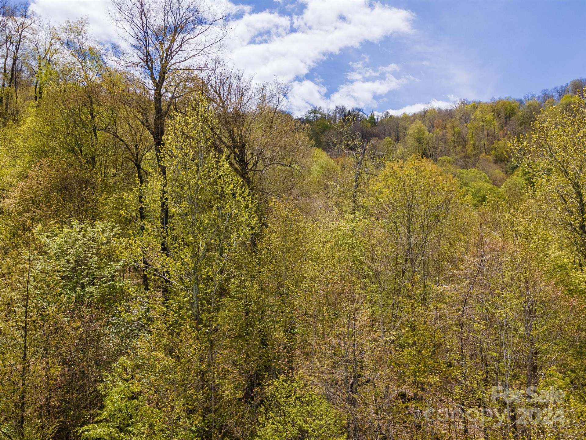 93 Goldenleaf Road #93 & 95 - Photo 21