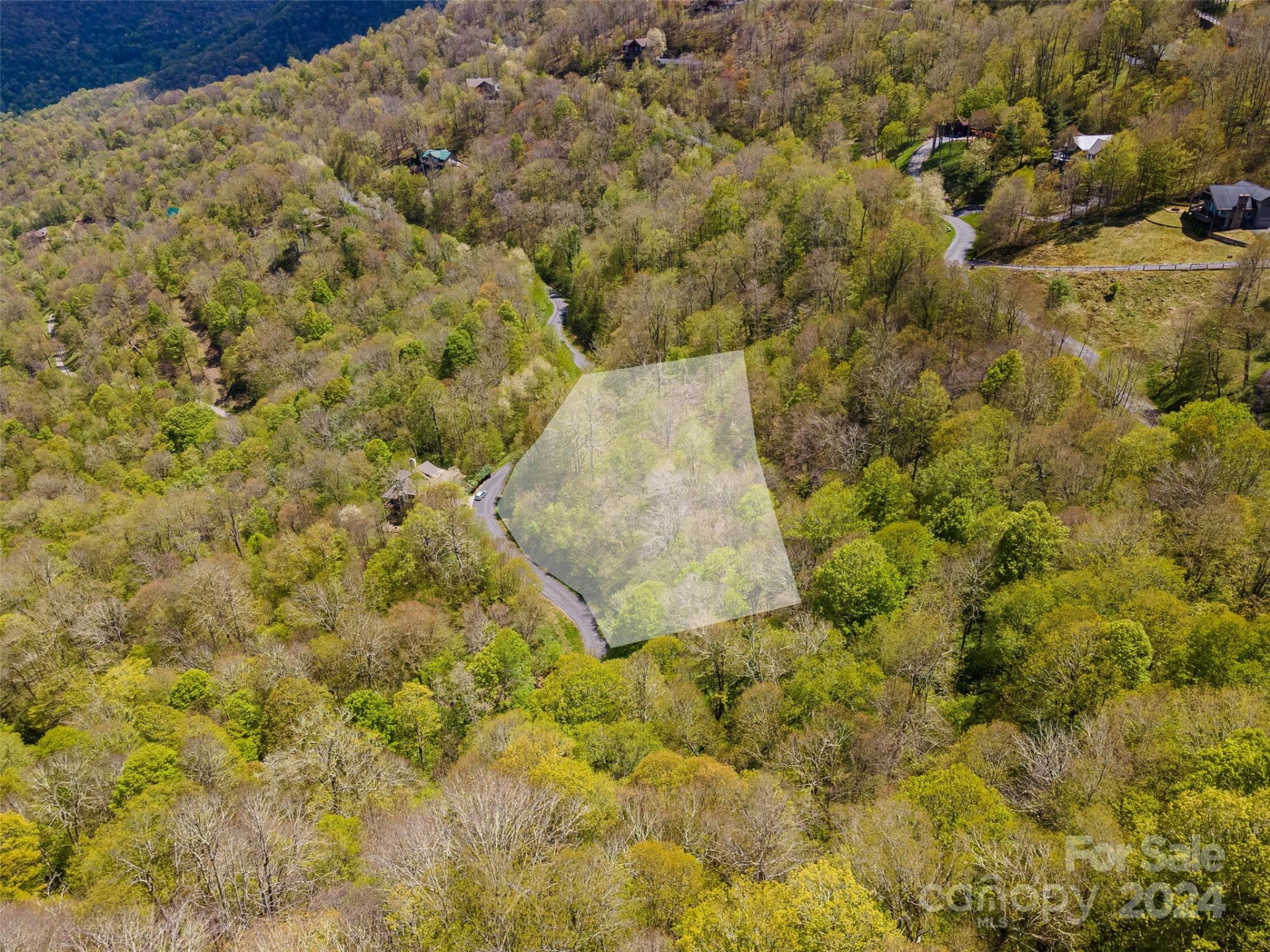 93 Goldenleaf Road #93 & 95 - Photo 4