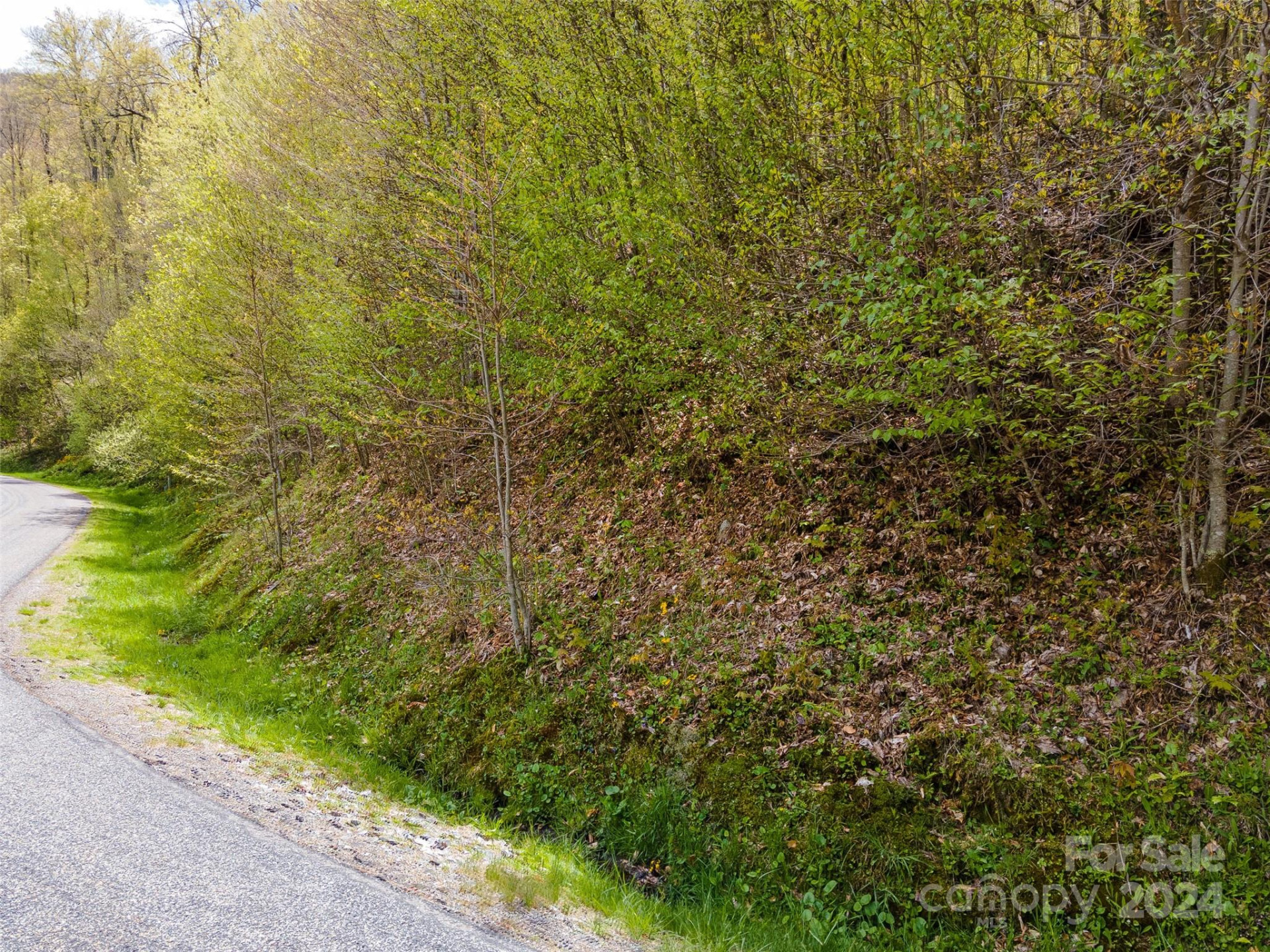 93 Goldenleaf Road #93 & 95 - Photo 7