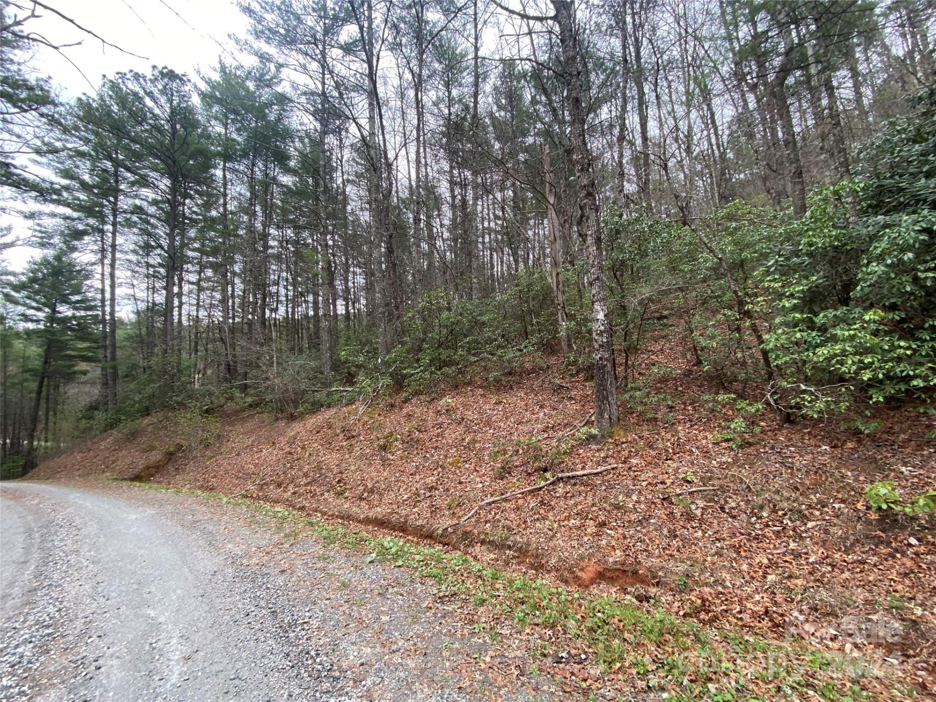 Lot 11 Fox Ridge Trail - Photo 11