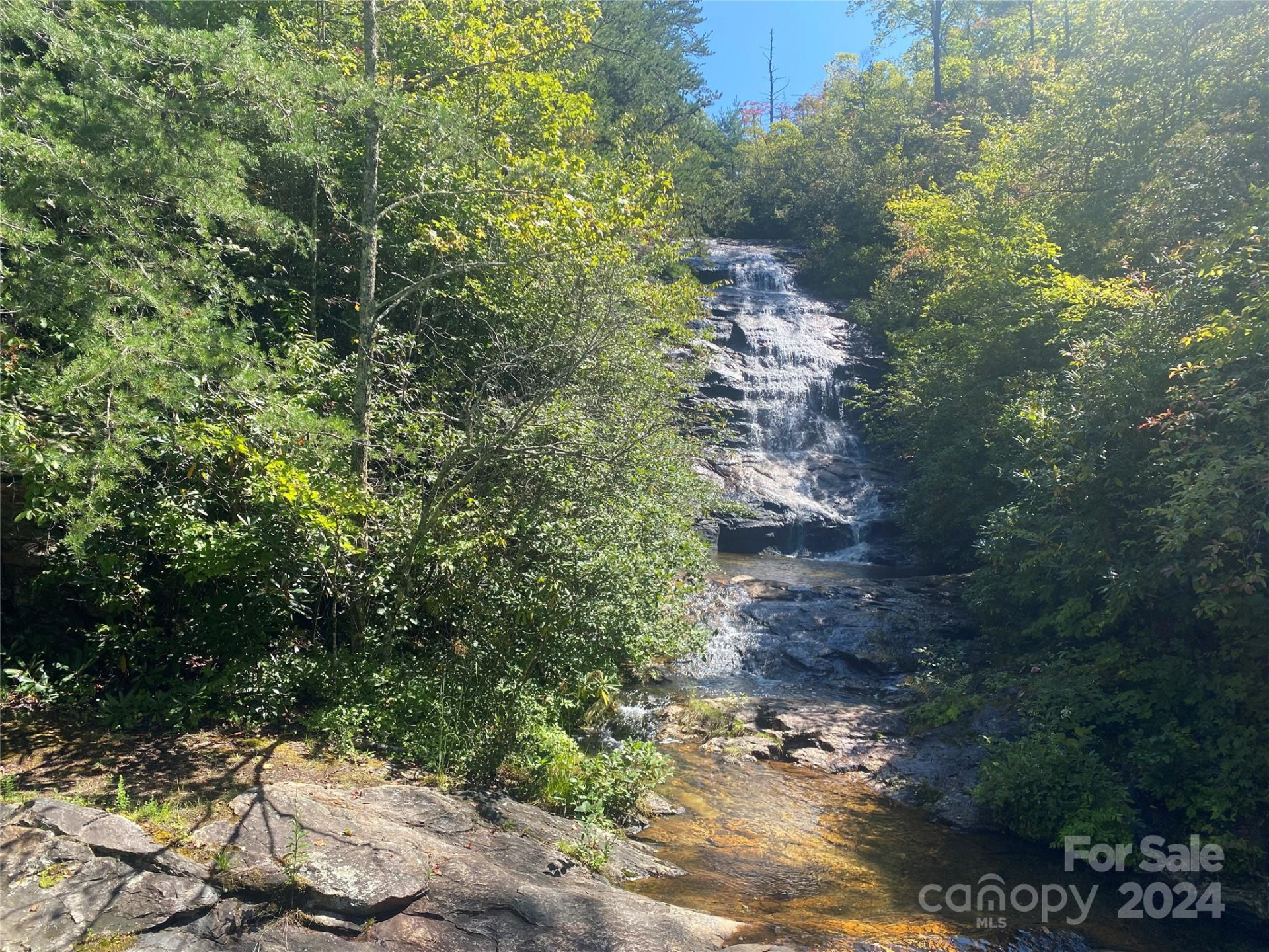 Lot 11 Fox Ridge Trail - Photo 3