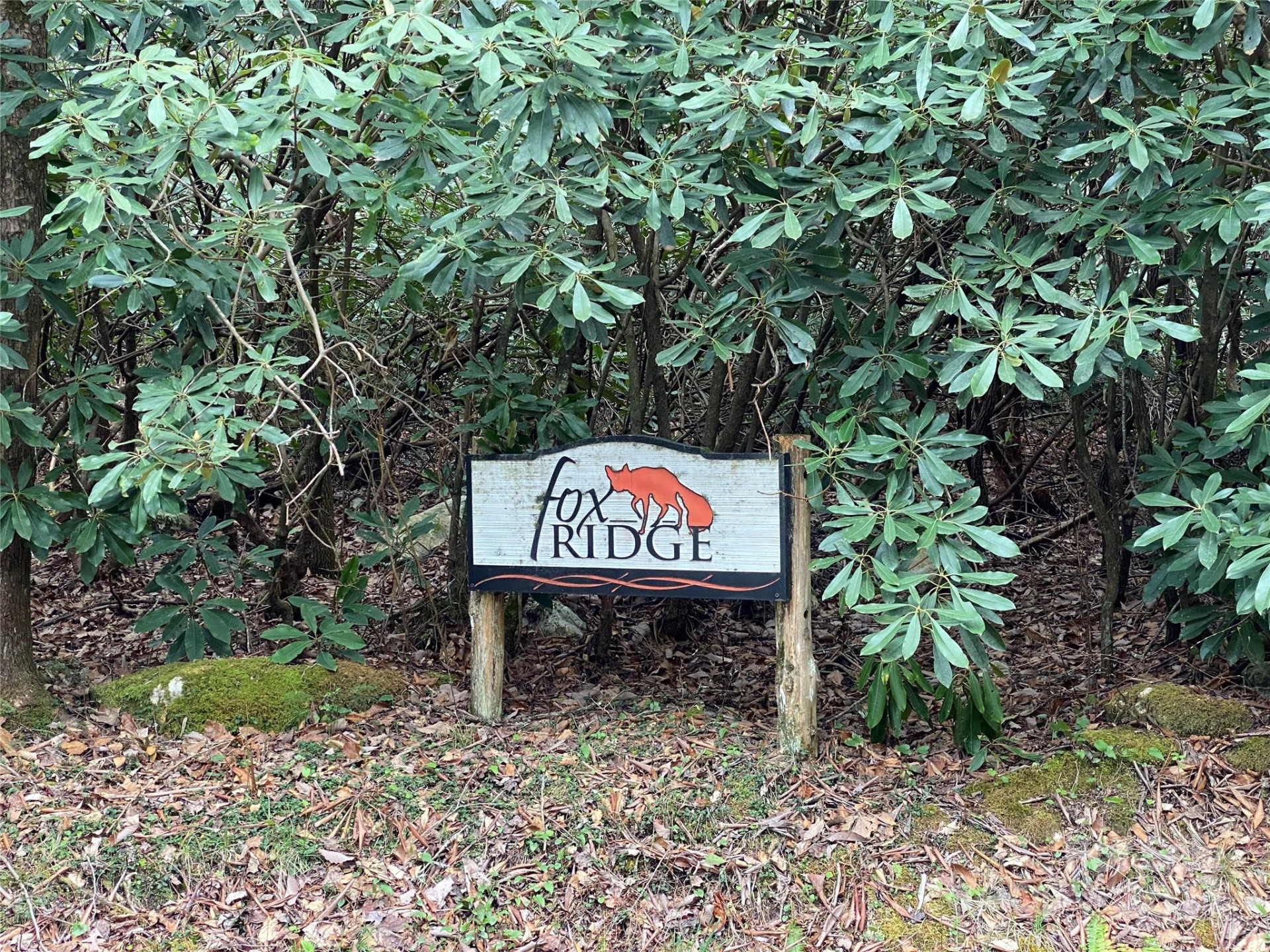 Lot 11 Fox Ridge Trail - Photo 4