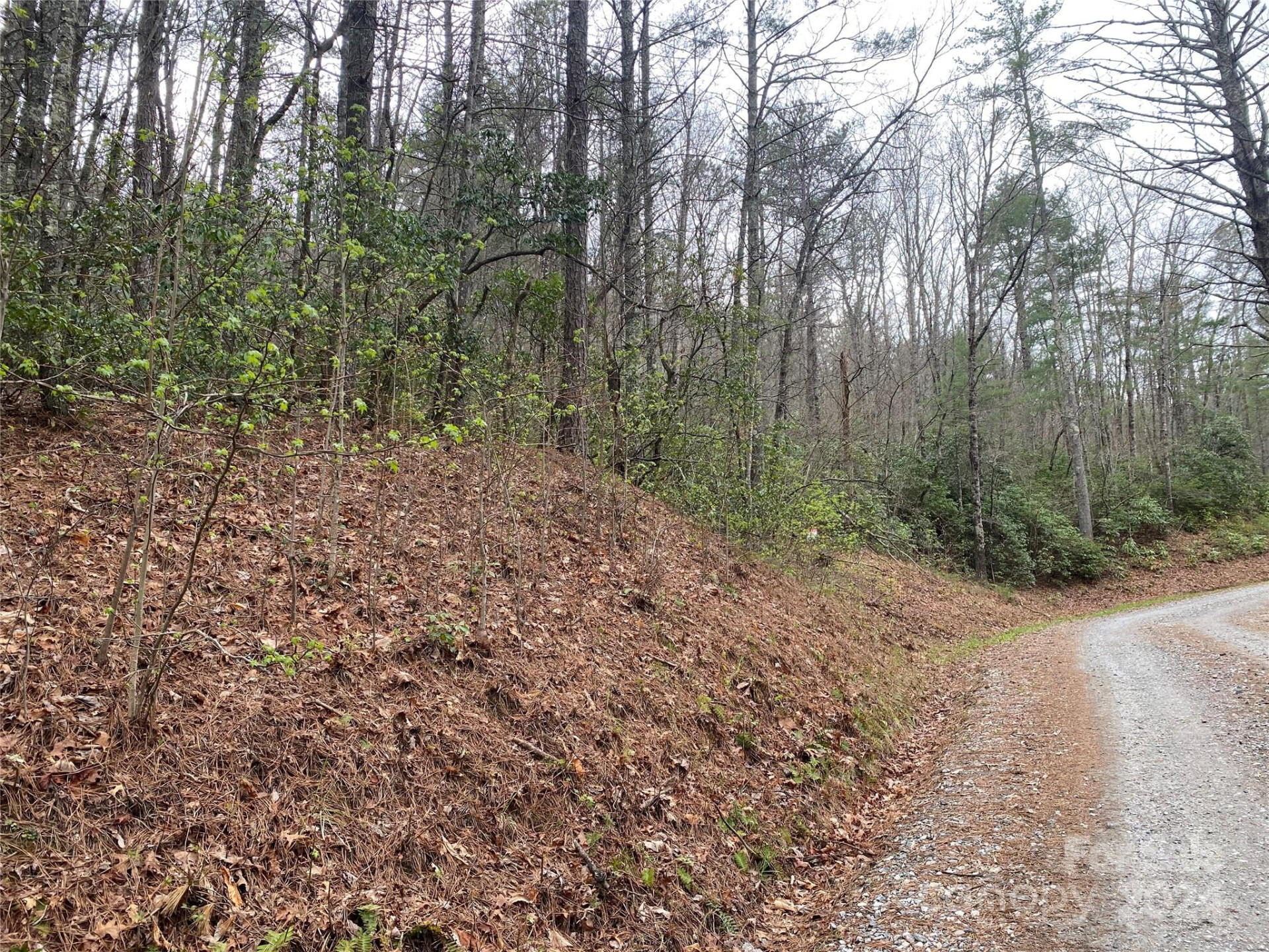 Lot 11 Fox Ridge Trail - Photo 5