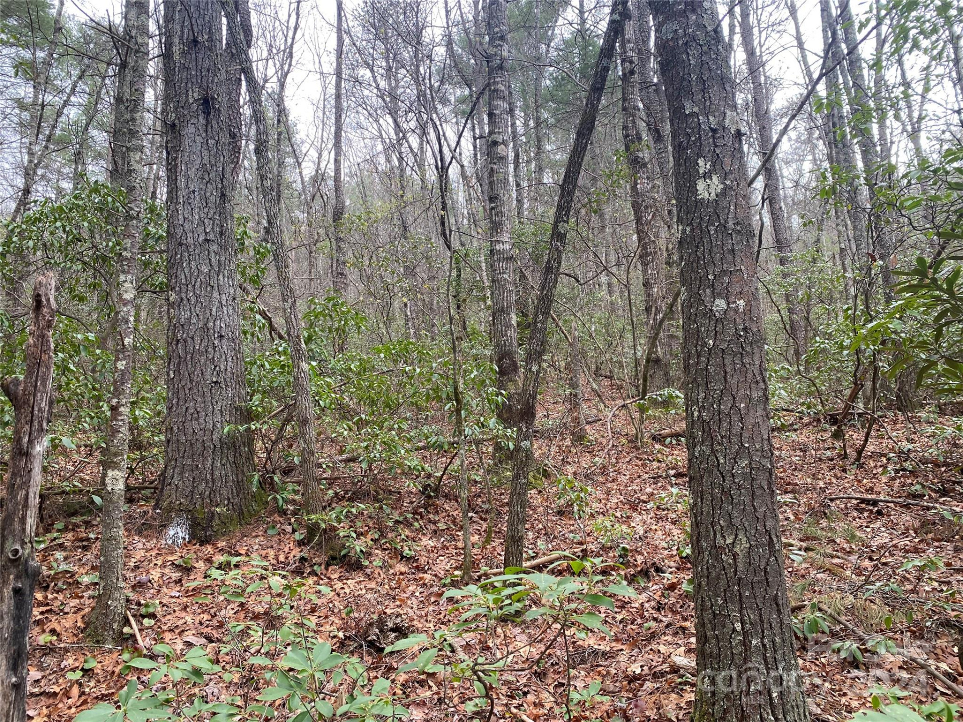 Lot 11 Fox Ridge Trail - Photo 7